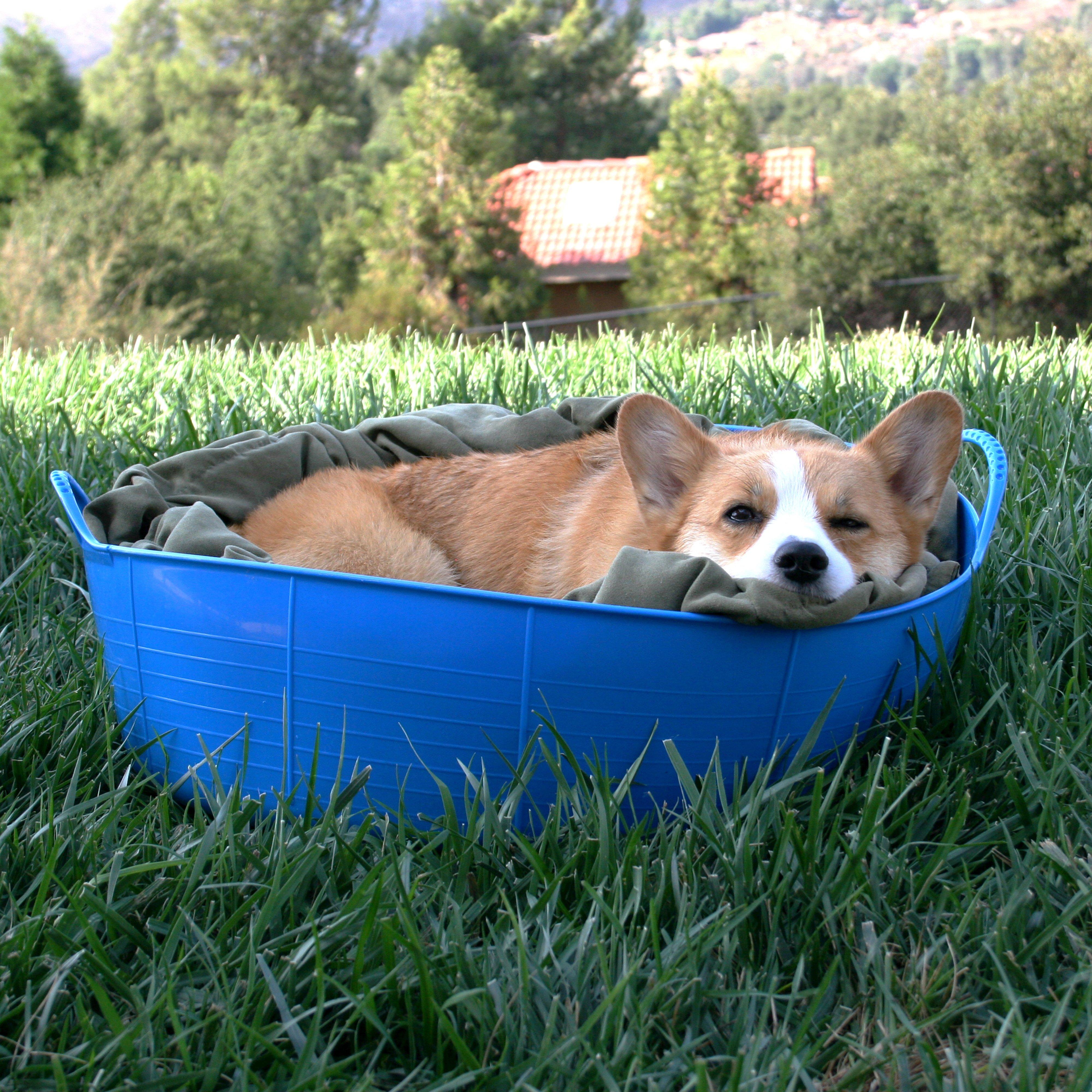 Shallow Gorilla Tub®