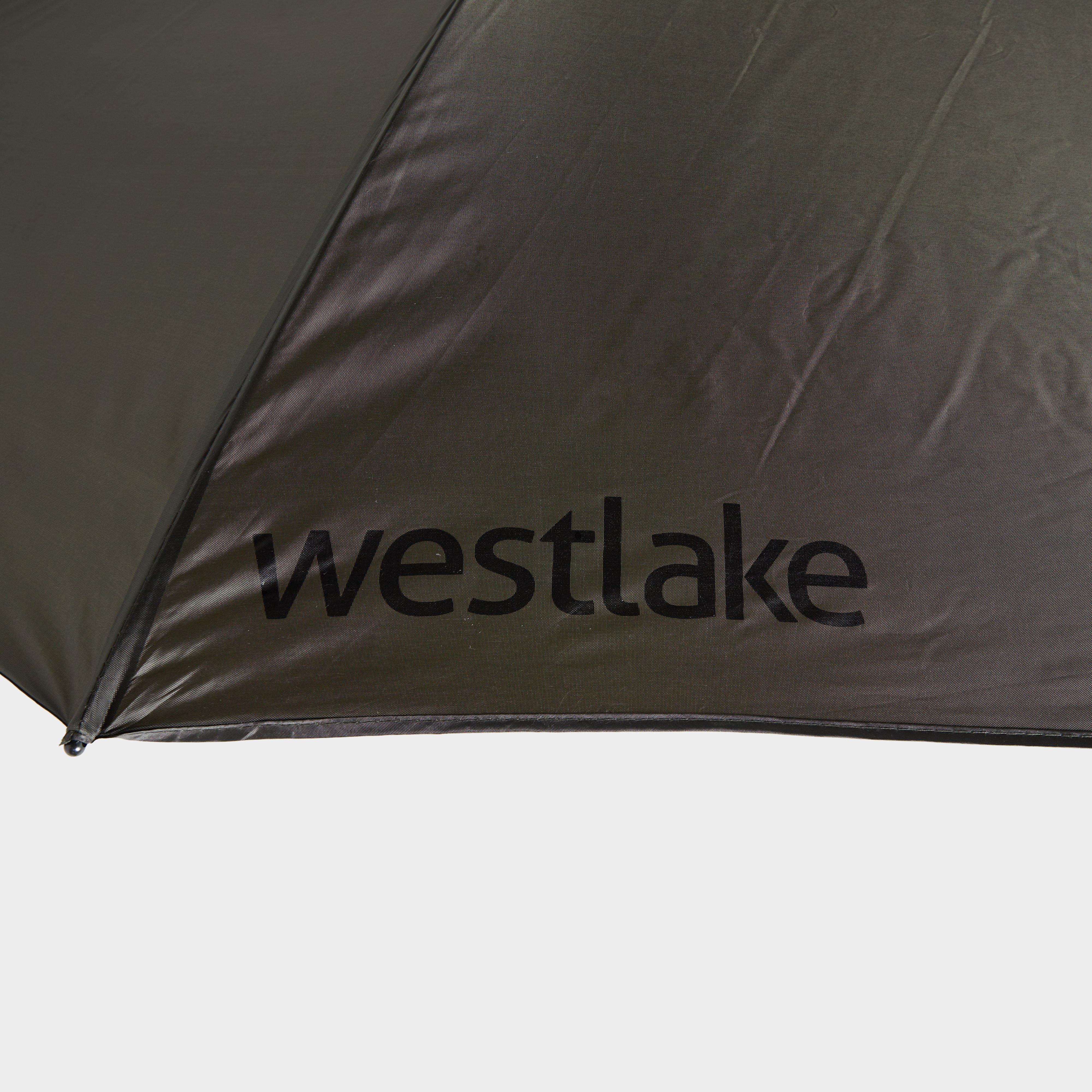 Oval Carp Bivvy Brolly 60