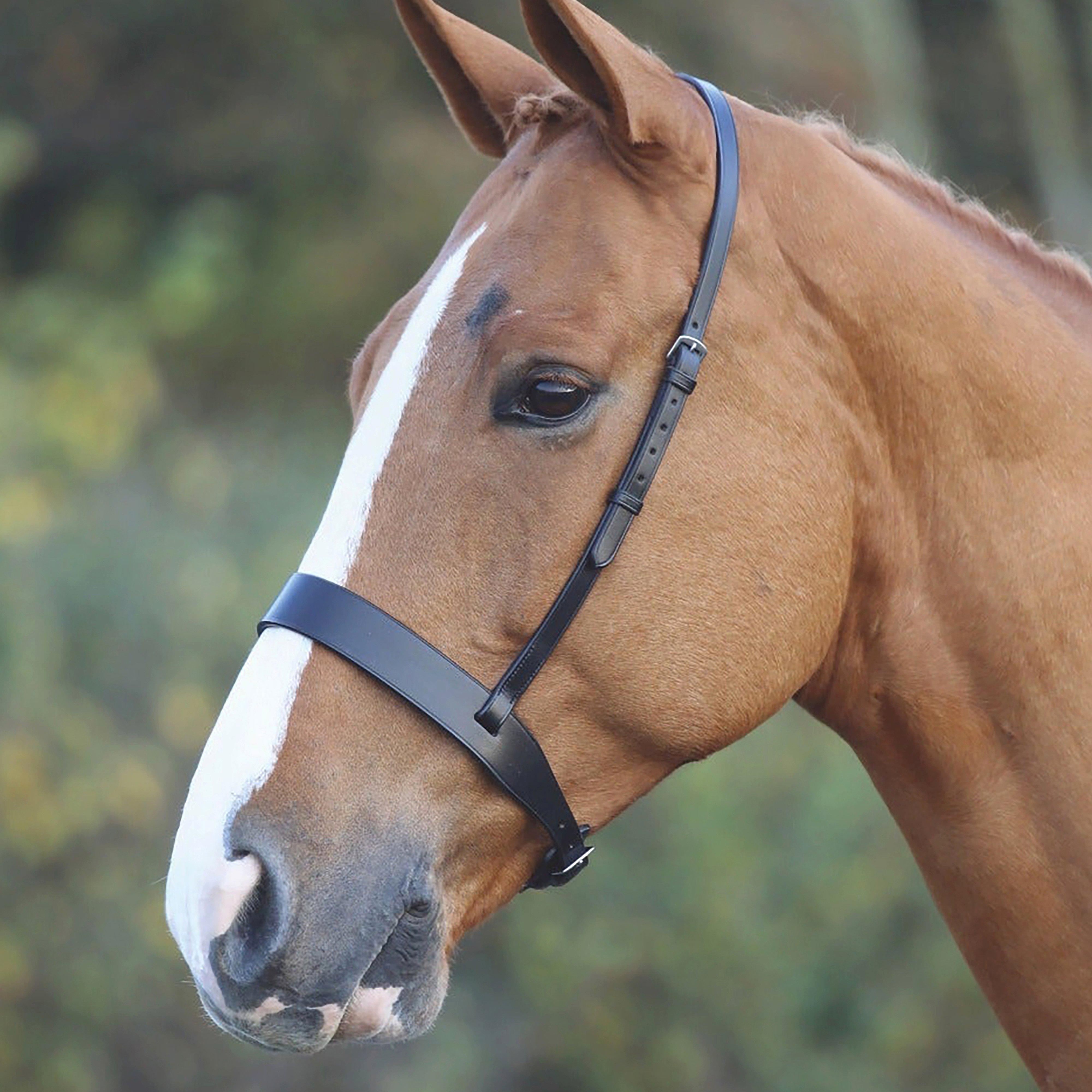 Cavesson Hunt Noseband Black