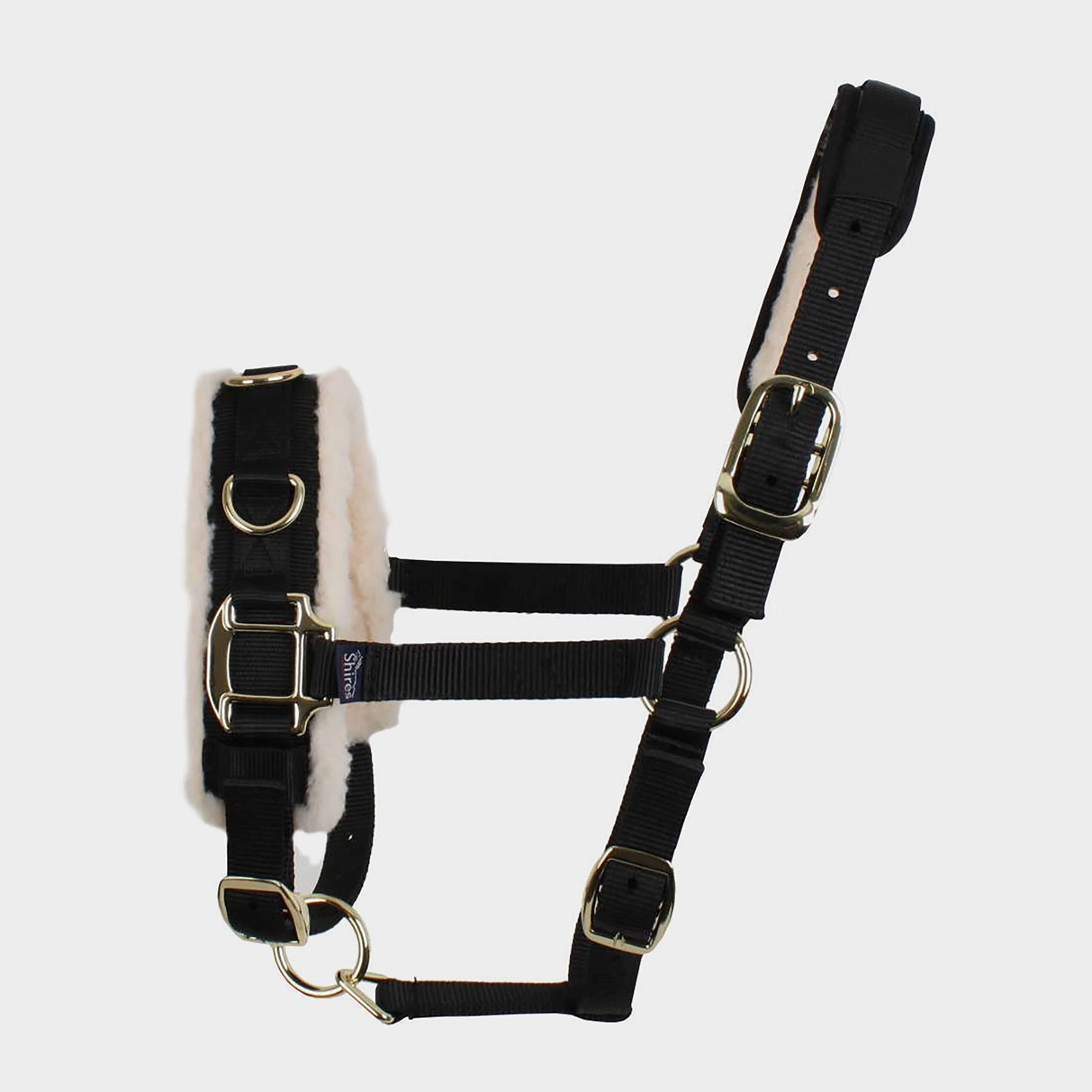 Fleece Lined Lunge Cavesson