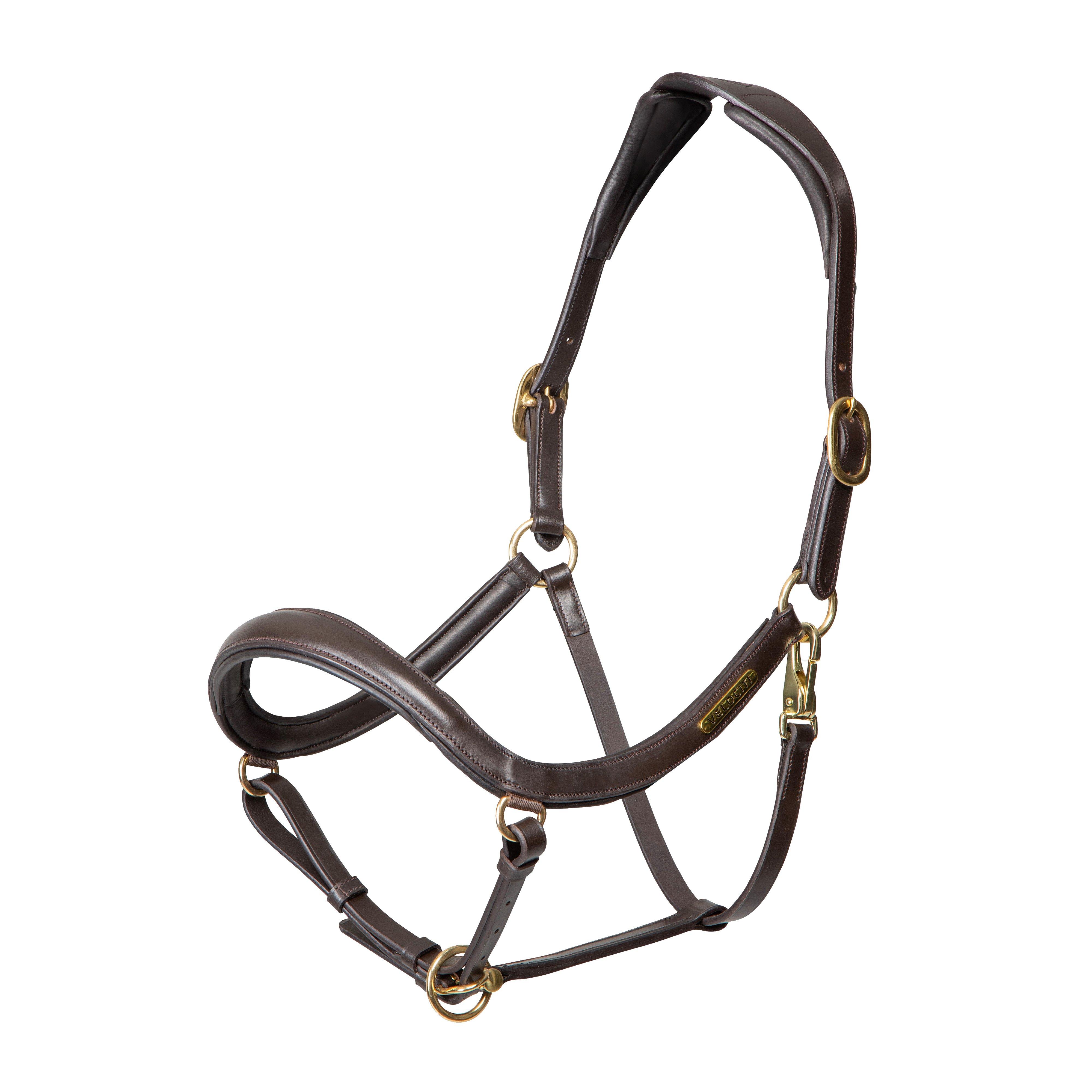 Rapida Curved Leather Headcollar Havana