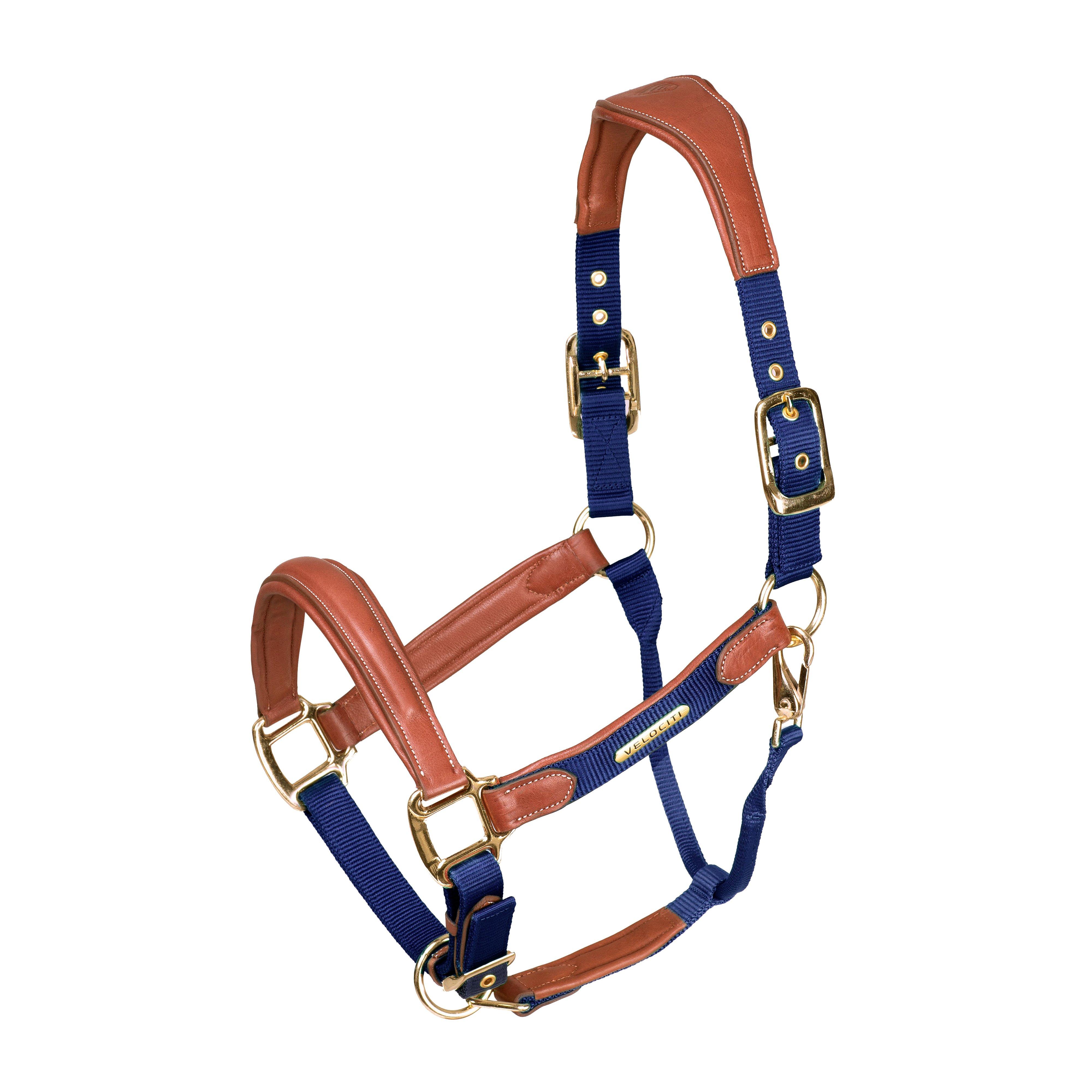 Velociti Lusso Padded Leather Headcollar