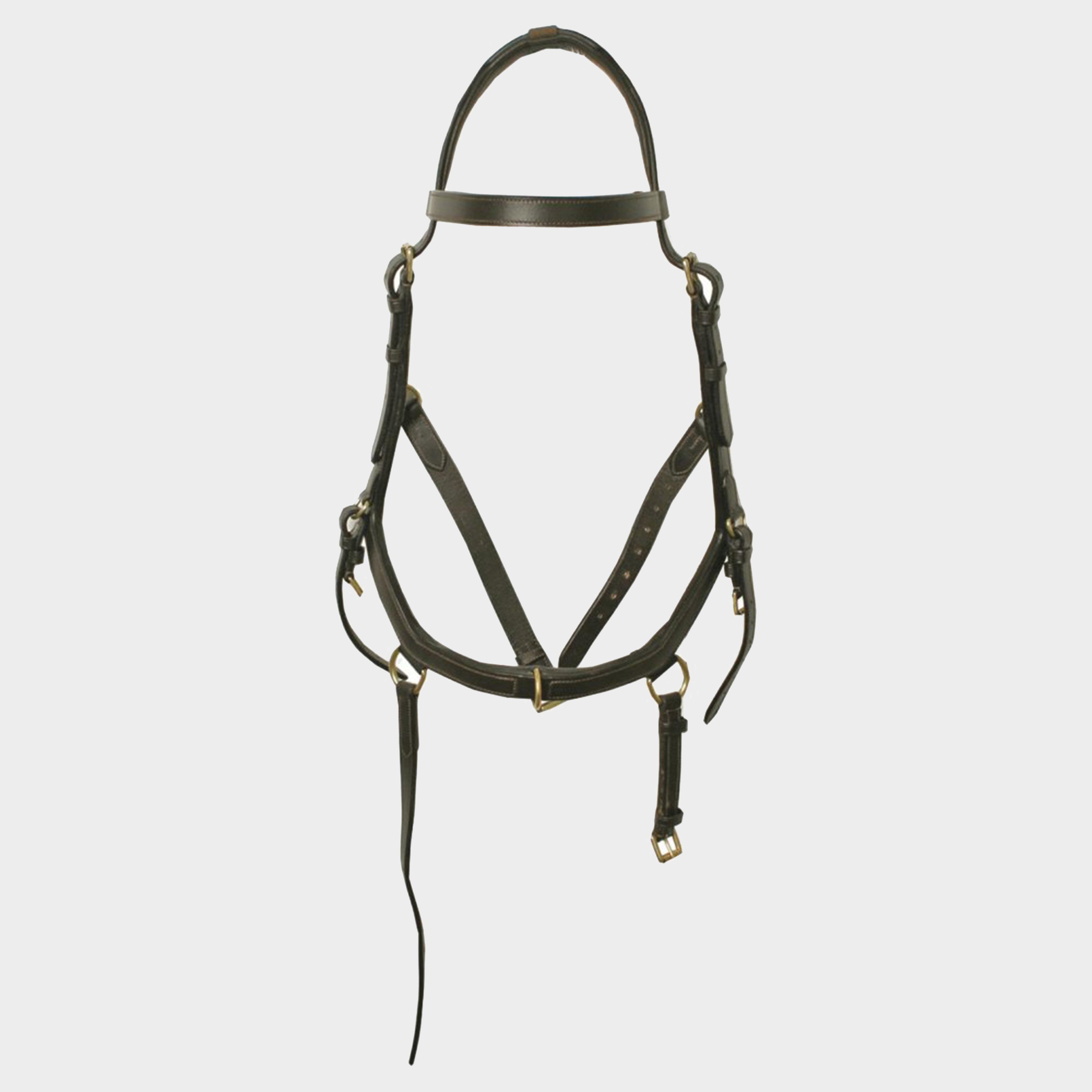 Rambo Micklem Multibridle