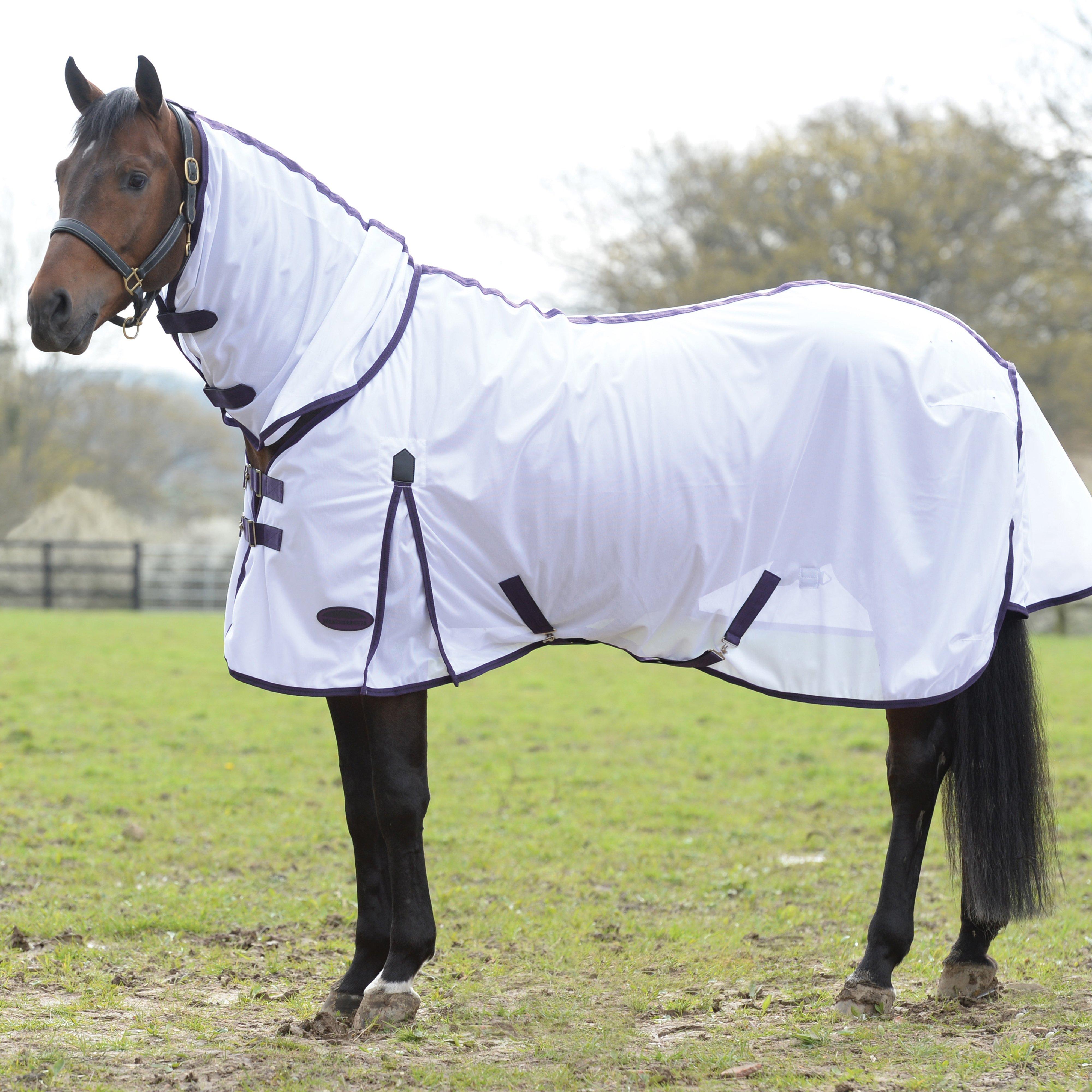 ComFiTec Essential Mesh Combo Neck Rug