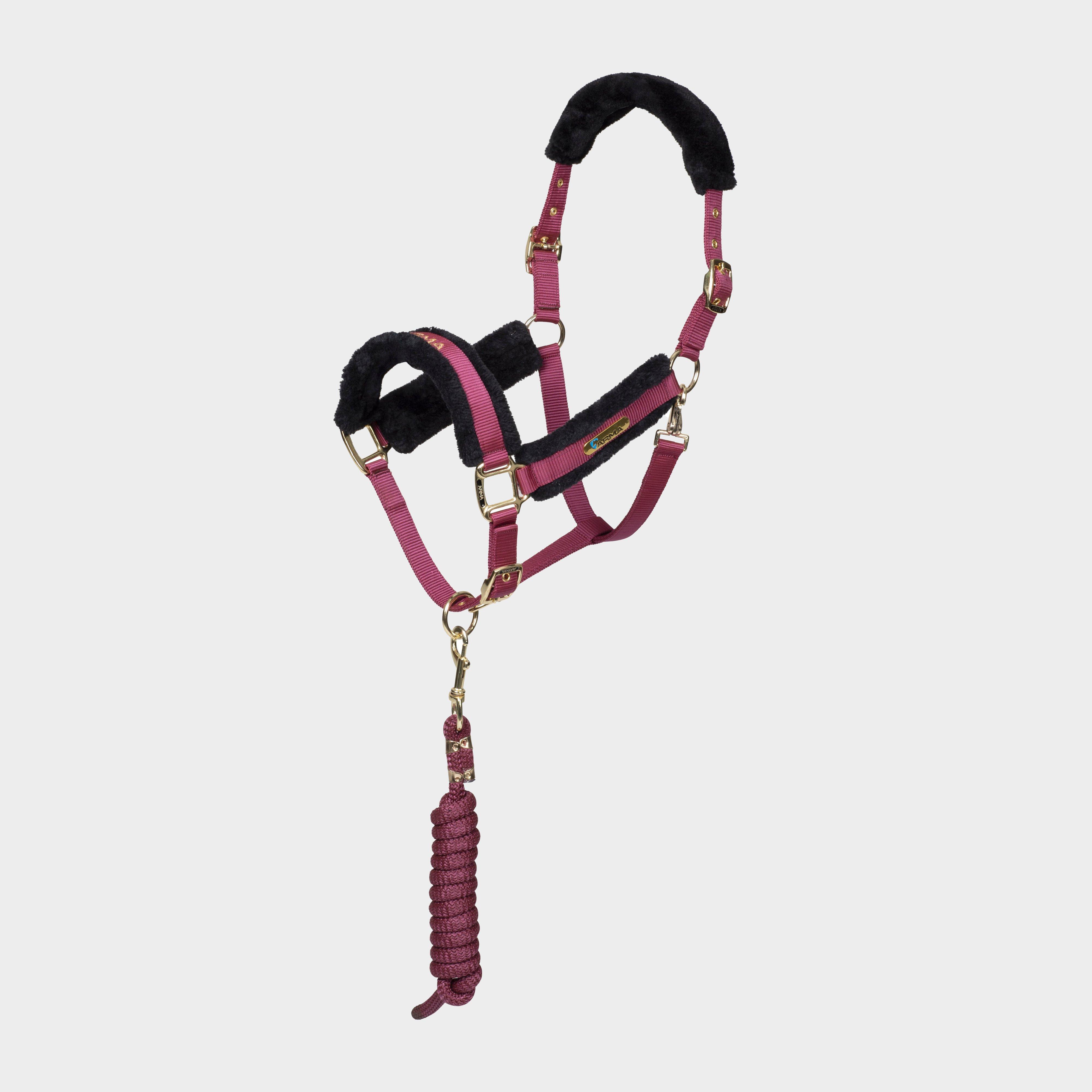 Logo Headcollar & Leadrope