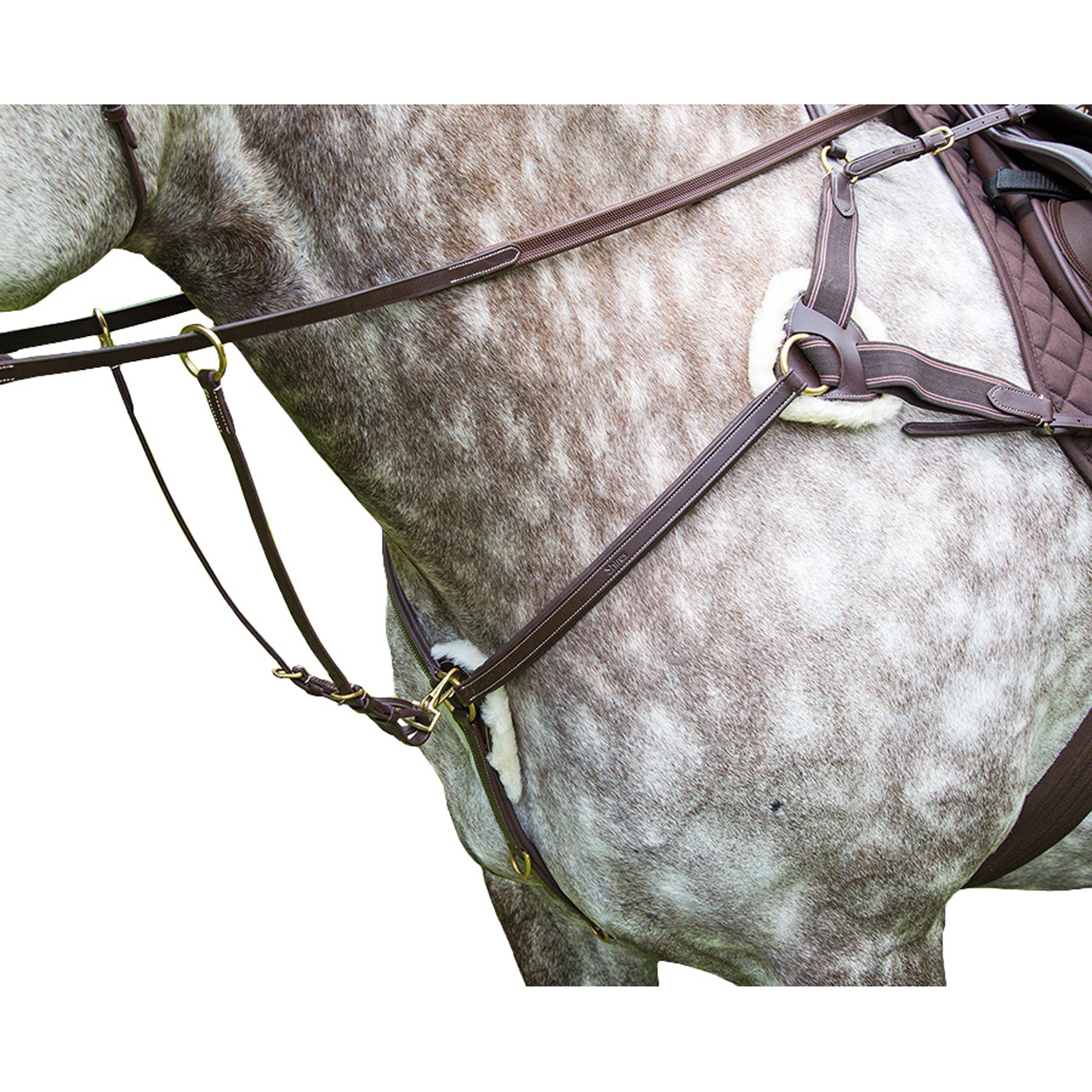 Salisbury 5 Point Breastplate