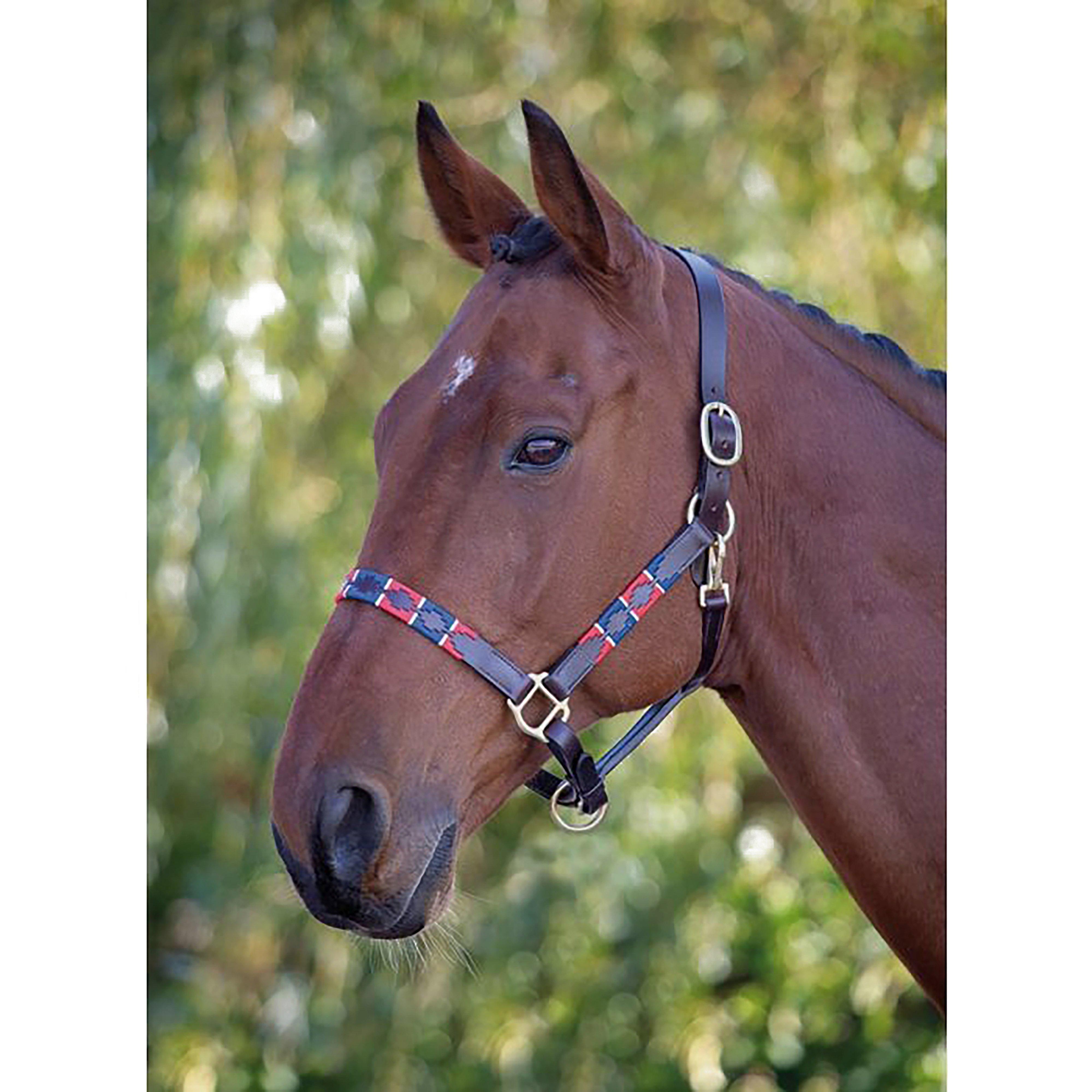 Leather Polo Headcollar