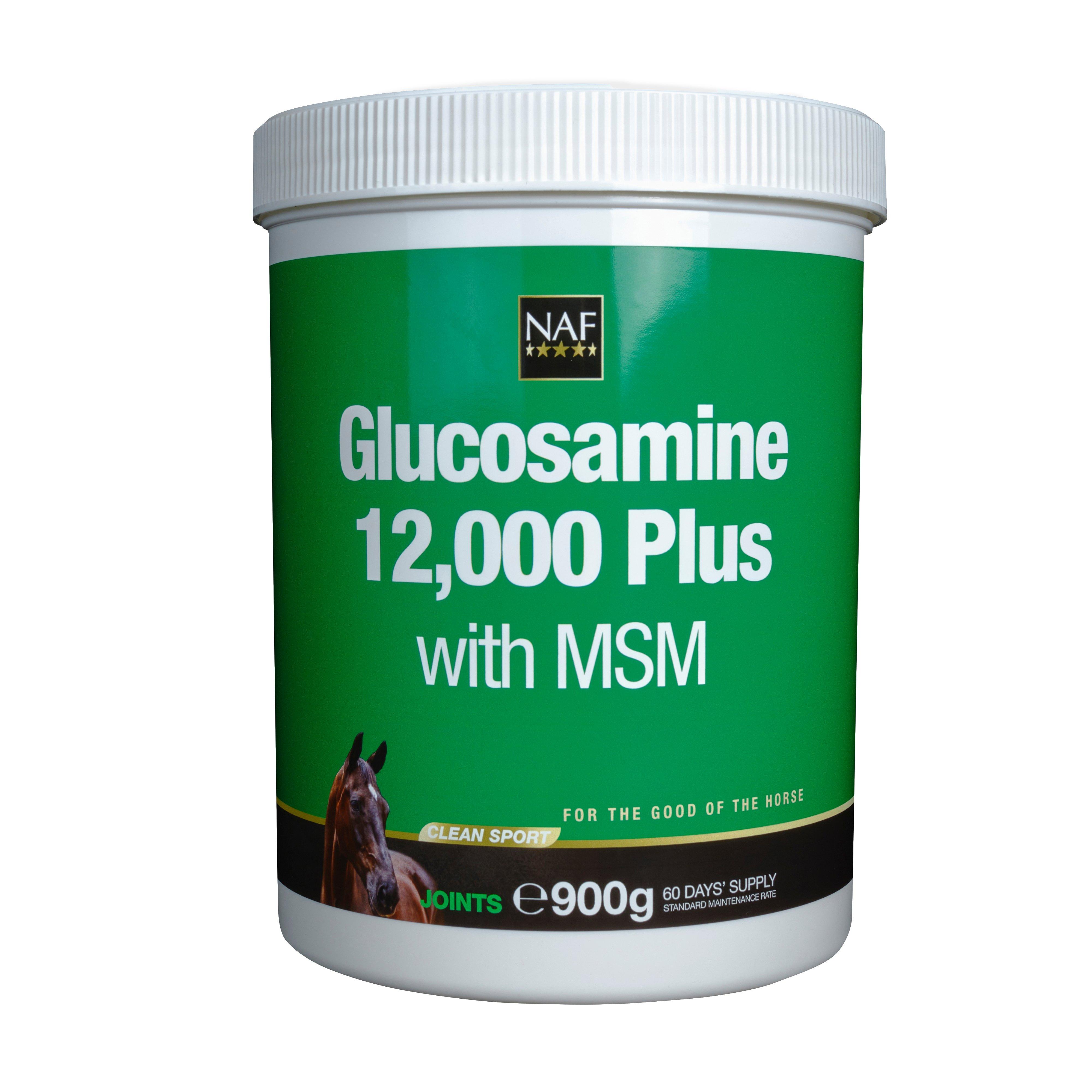 Glucosamine 12,000 Plus MSM
