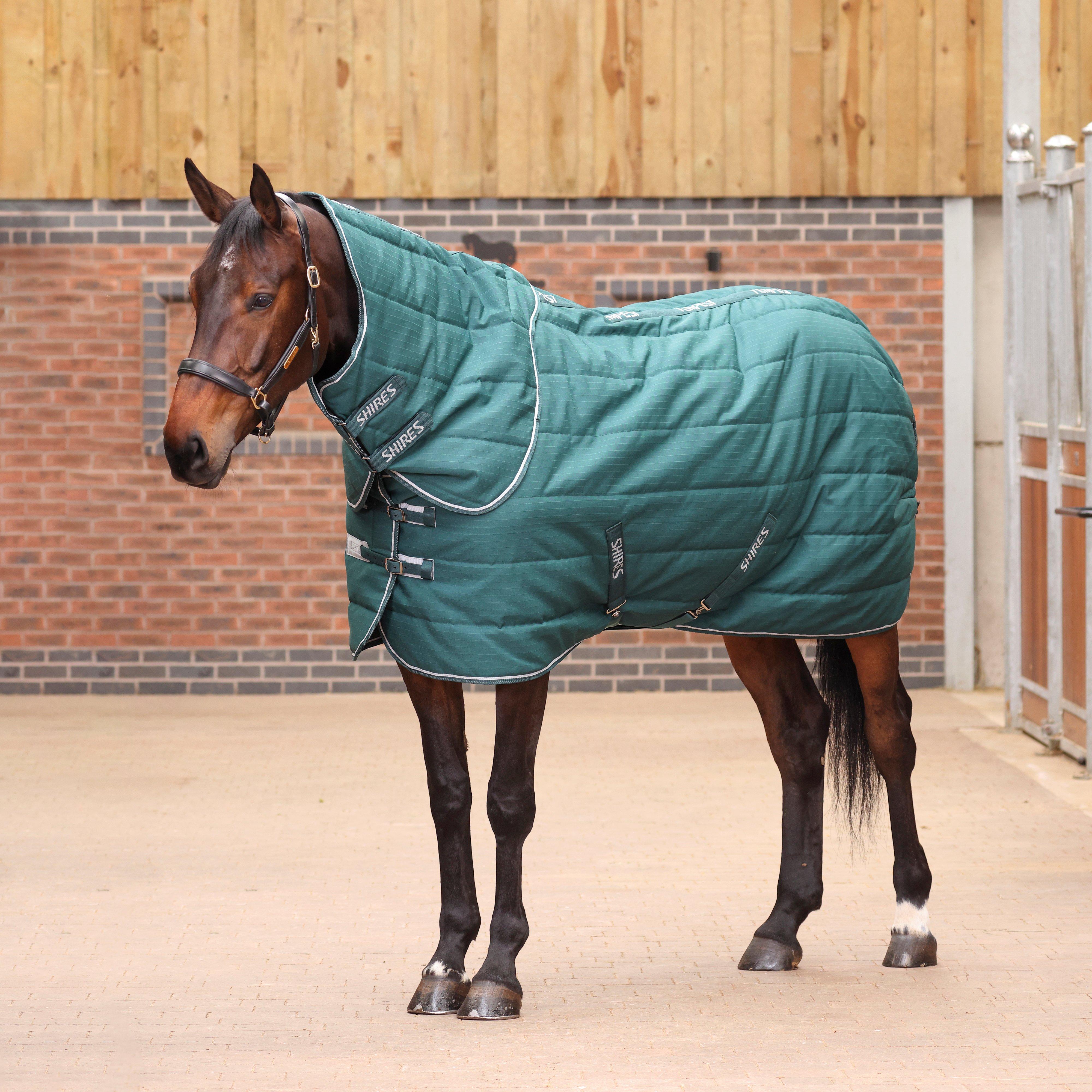 Tempest Original 200g Mediumweight Detach-A-Neck Stable Rug