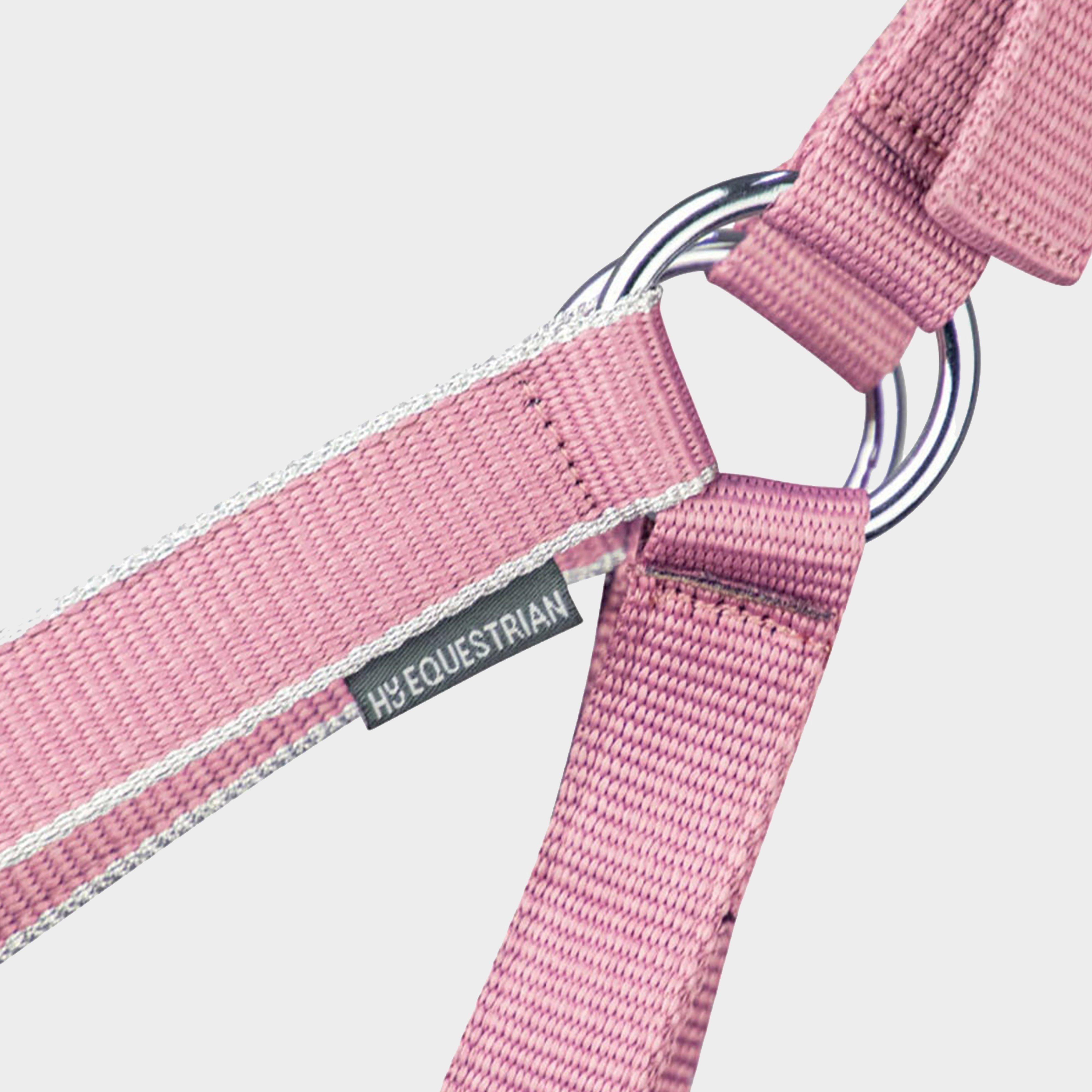 Synergy Horse Headcollar