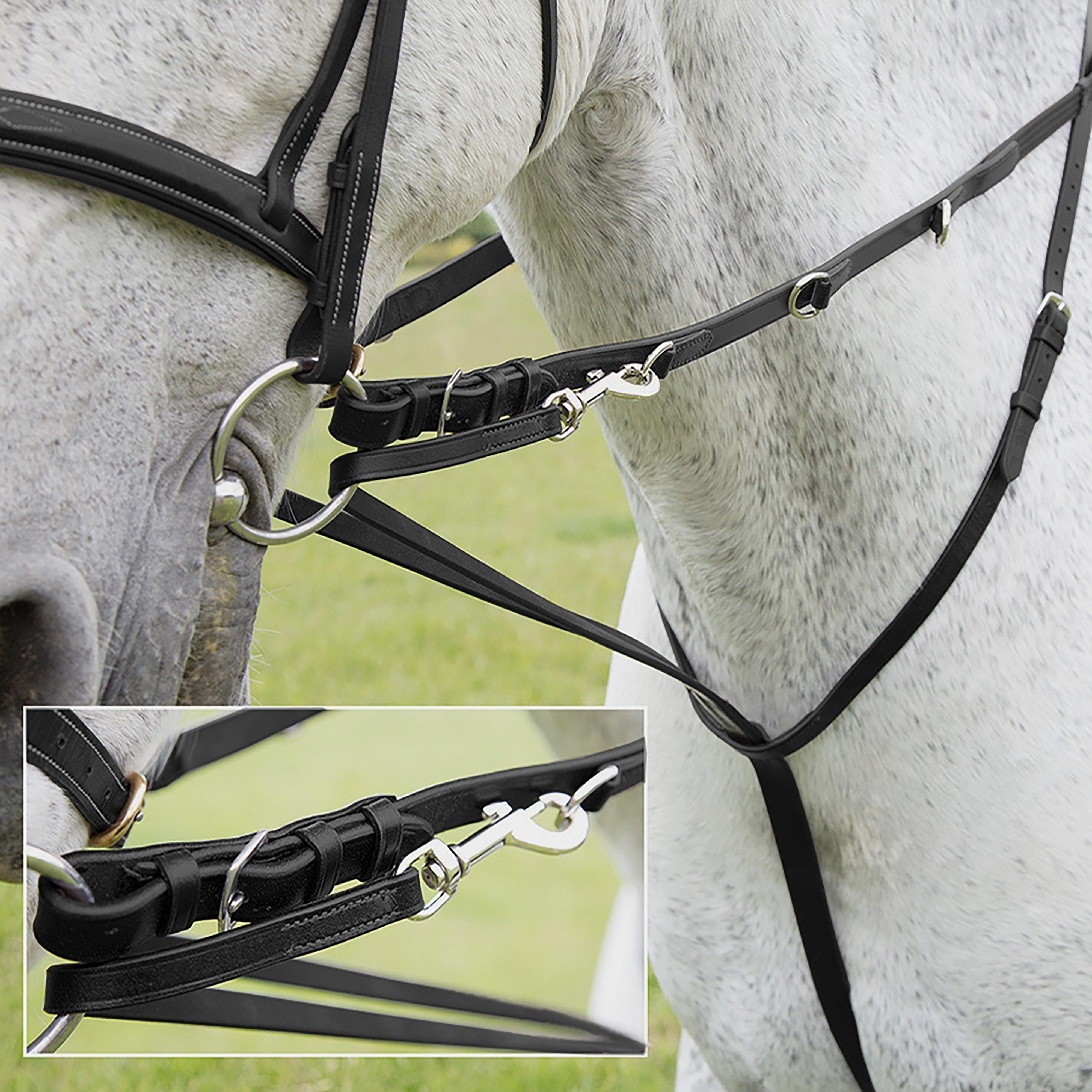 Market Harborough Havana