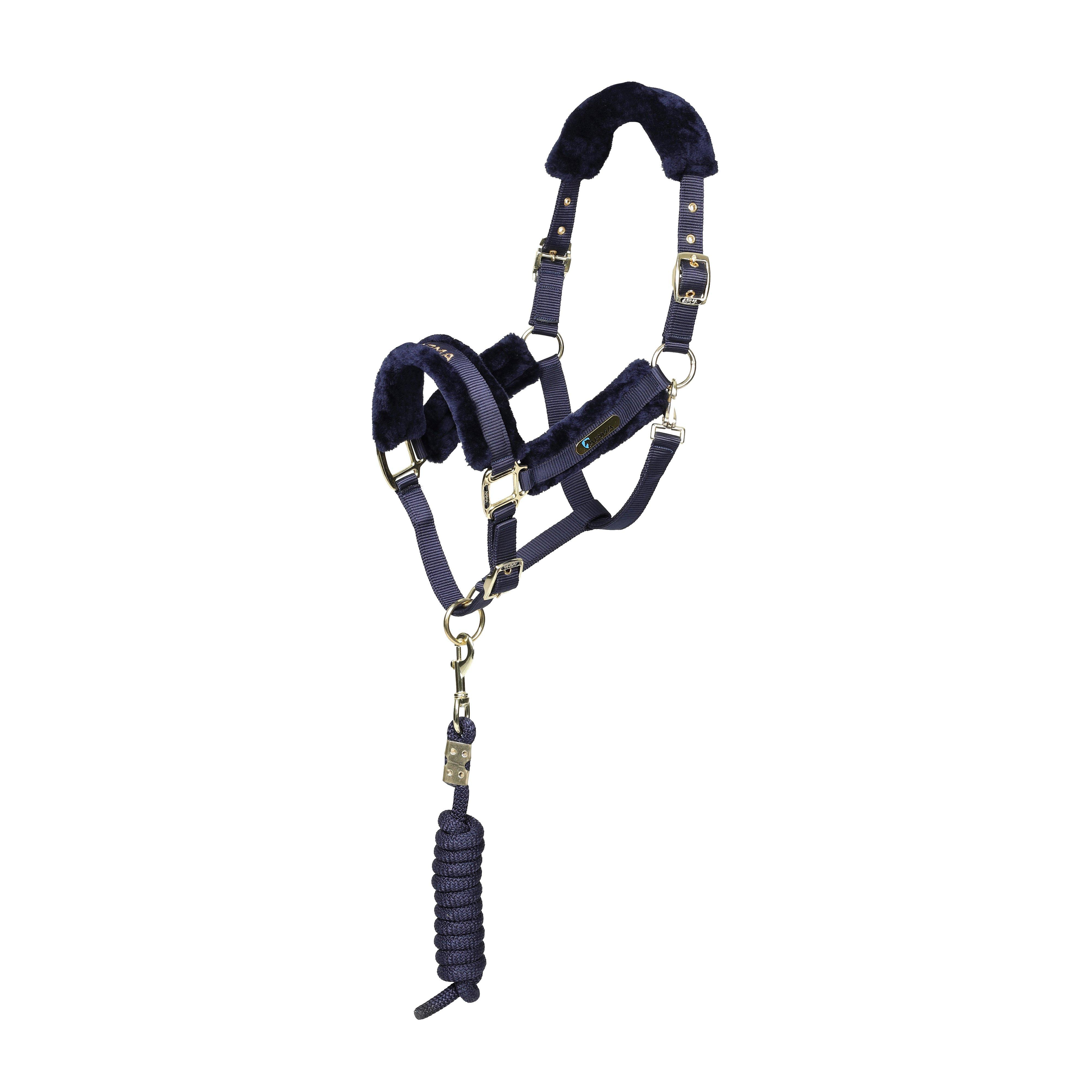 Logo Headcollar & Lead Rope