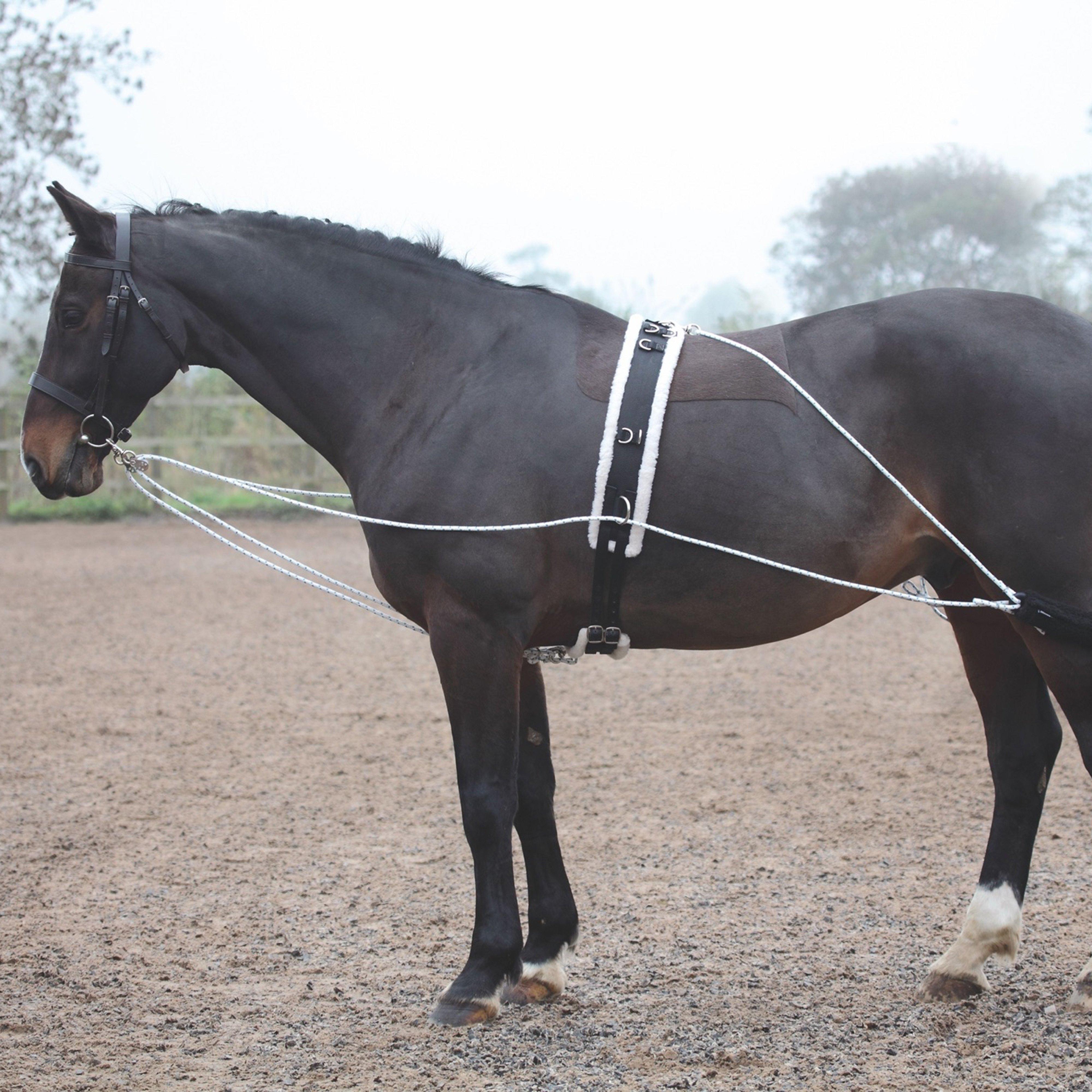 Shires Lunging Training Aid System