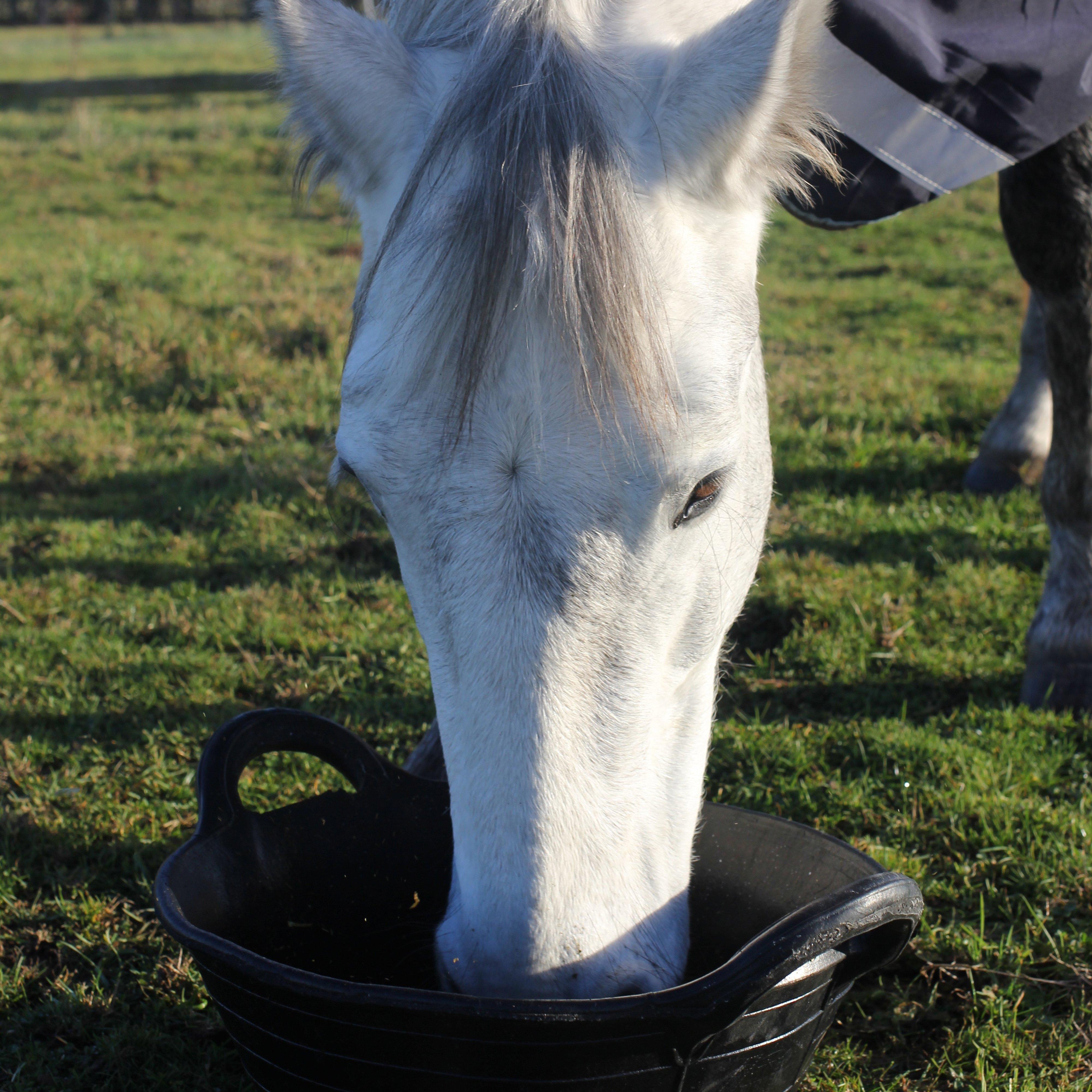 Tyre Rubber Feed Skips