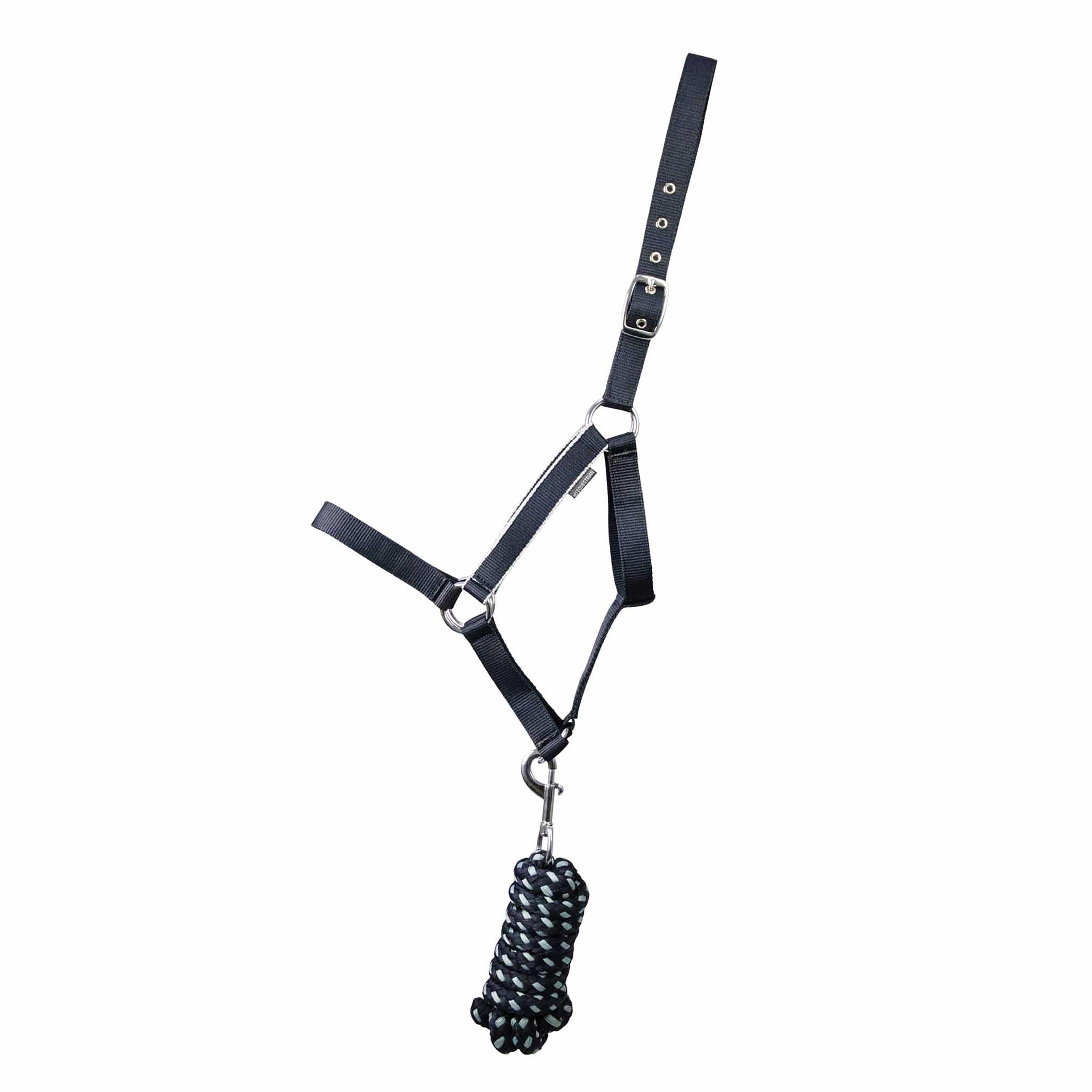 Synergy Horse Headcollar