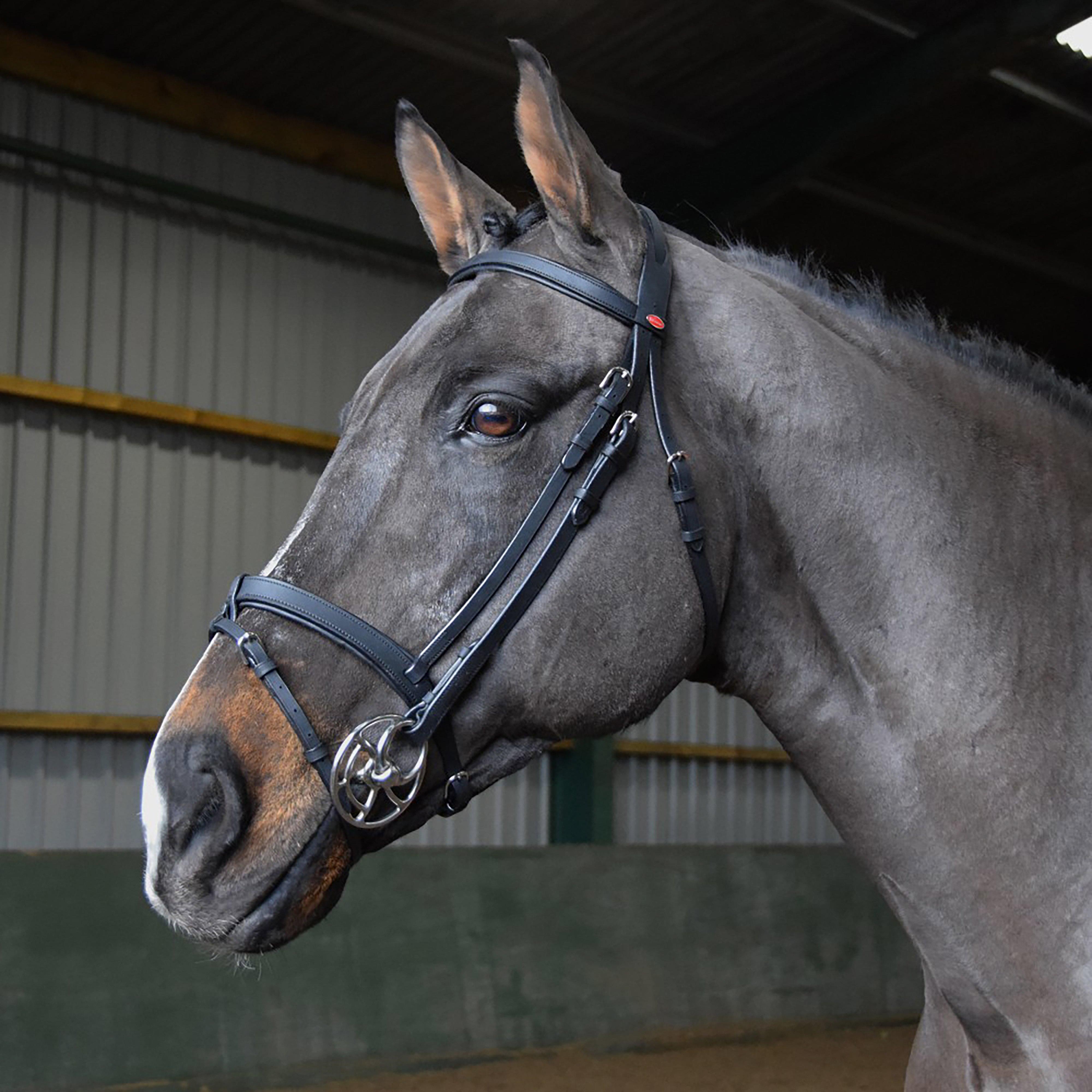 Ready-To-Ride Snaffle Flash Bridle