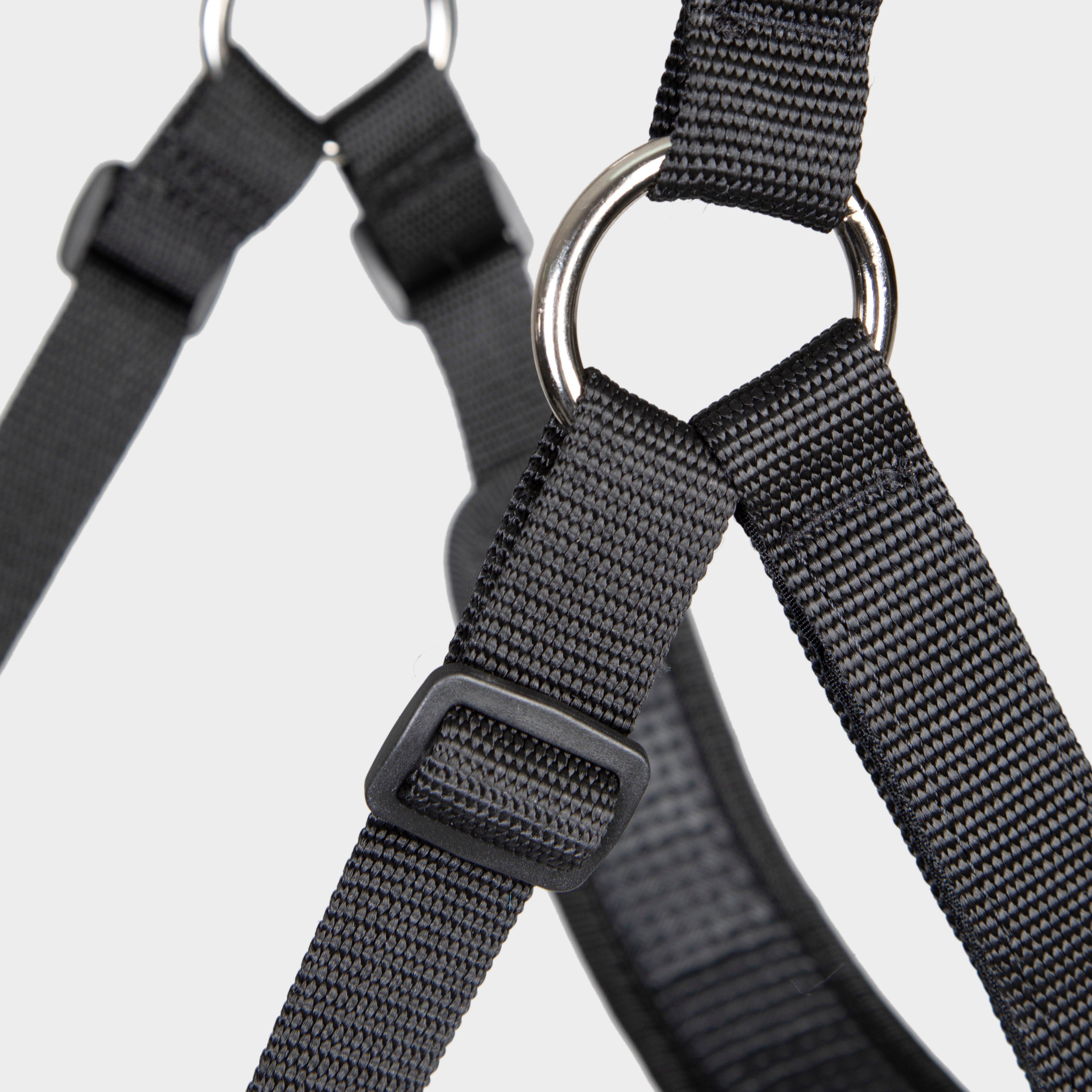 Comfort Grazing Muzzle