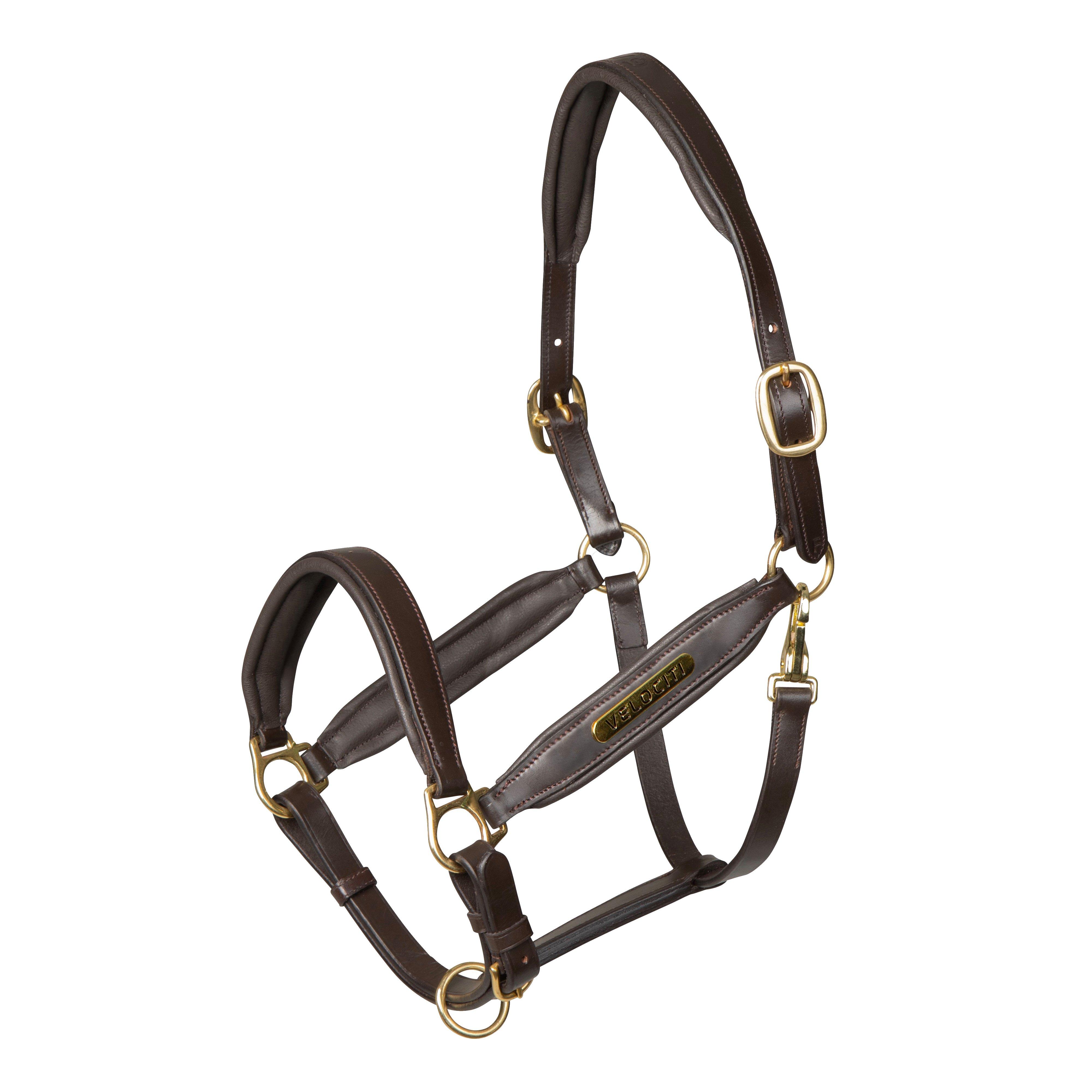 Gara Leather Headcollar