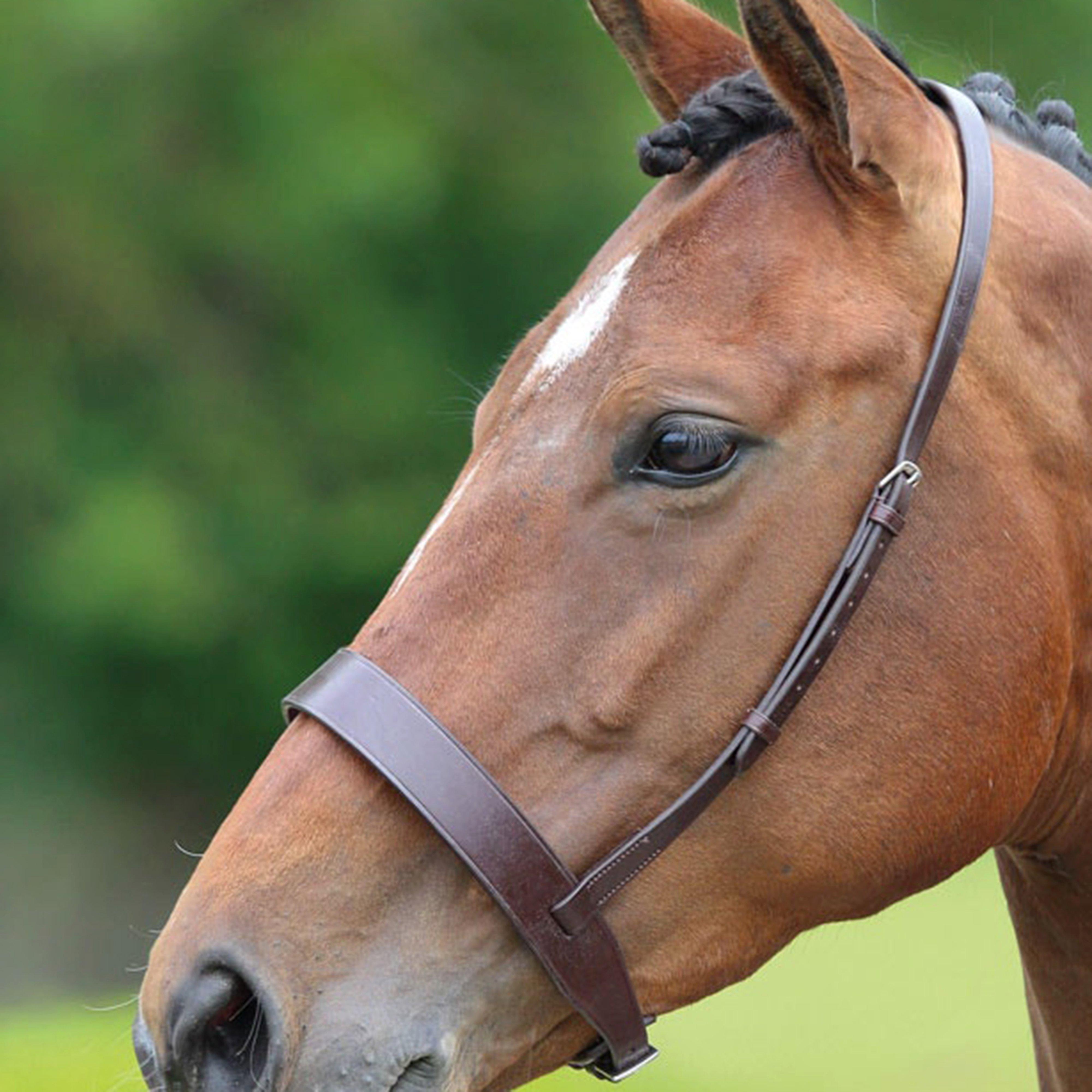 Cavesson Hunt Noseband