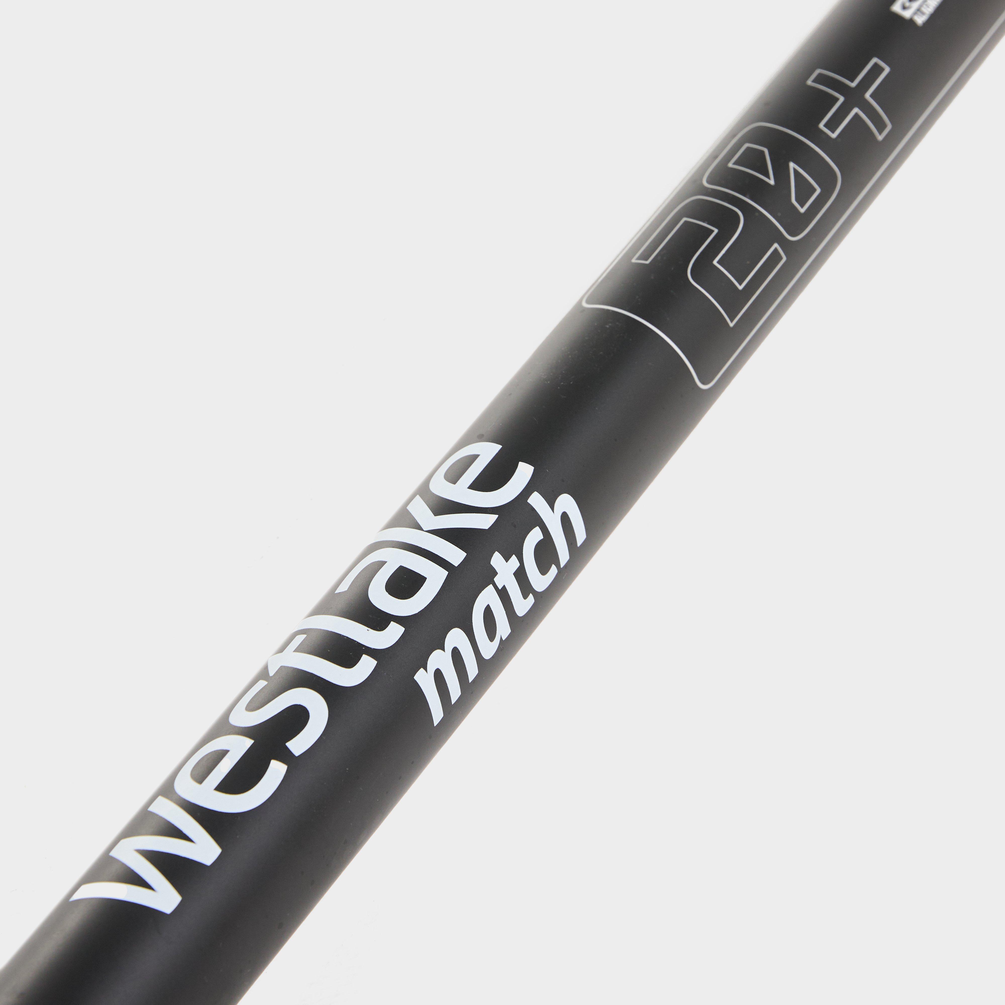 Traxis Power 11m Pole