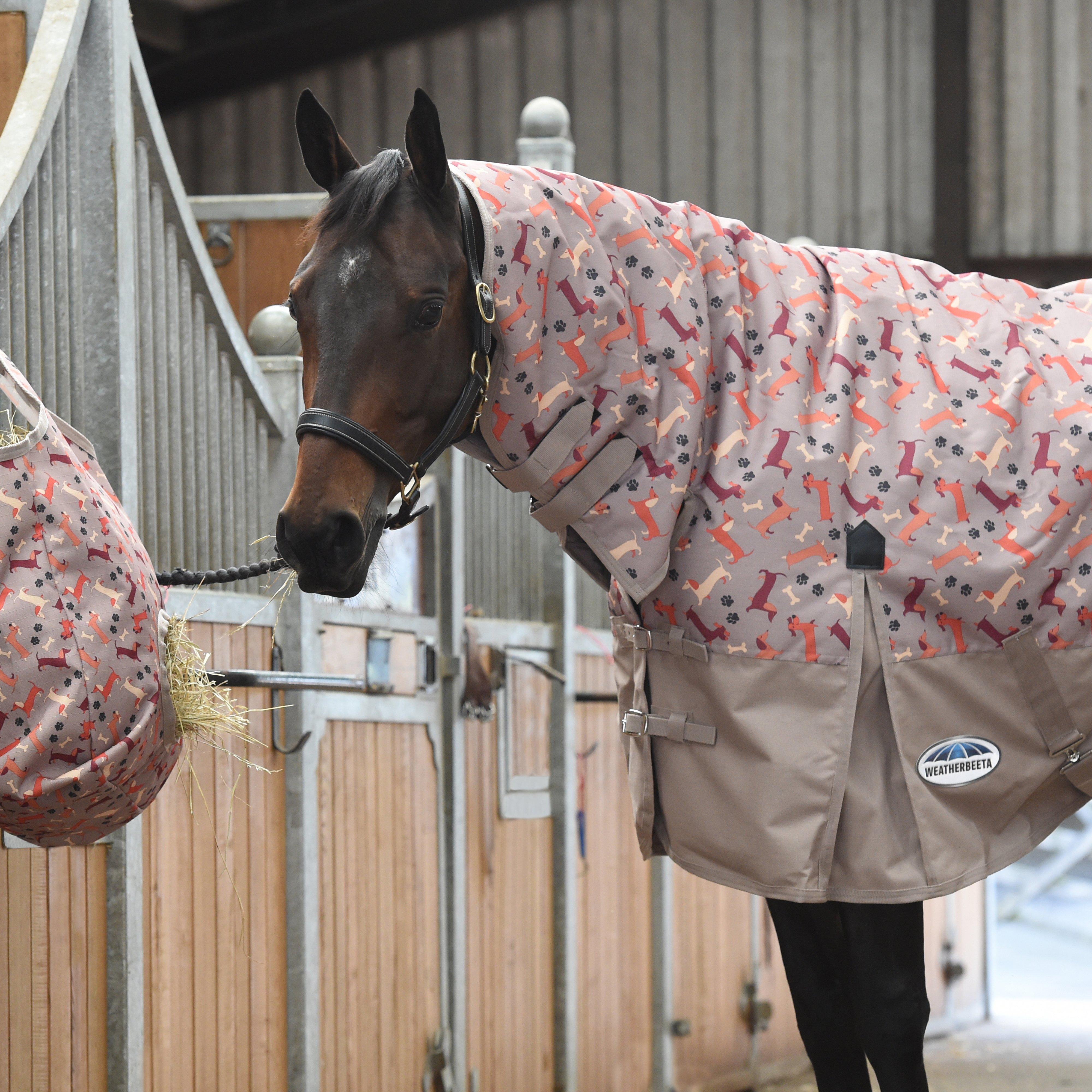 ComFiTec Essential Combo Neck Medium