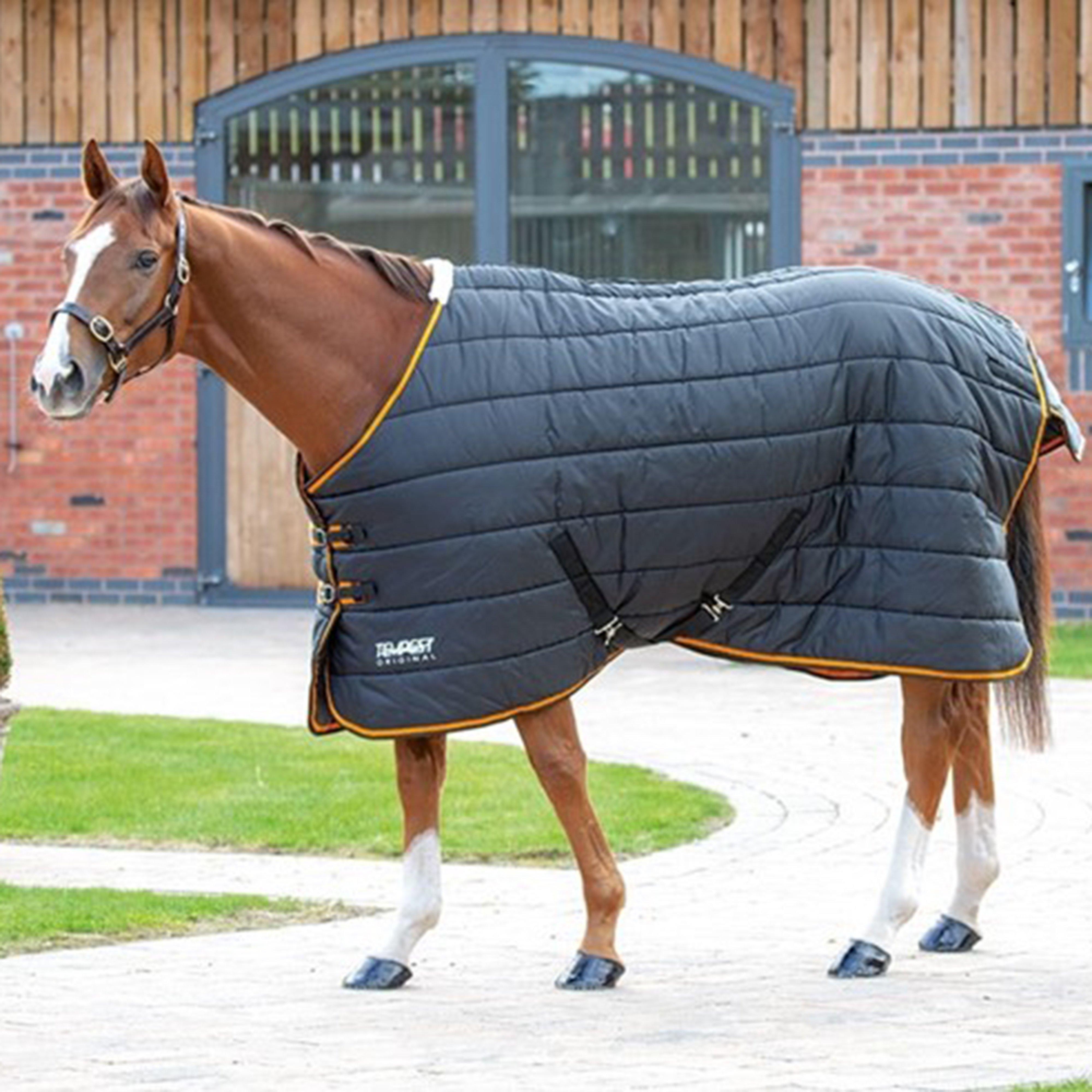 Tempest 300g Stable Rug