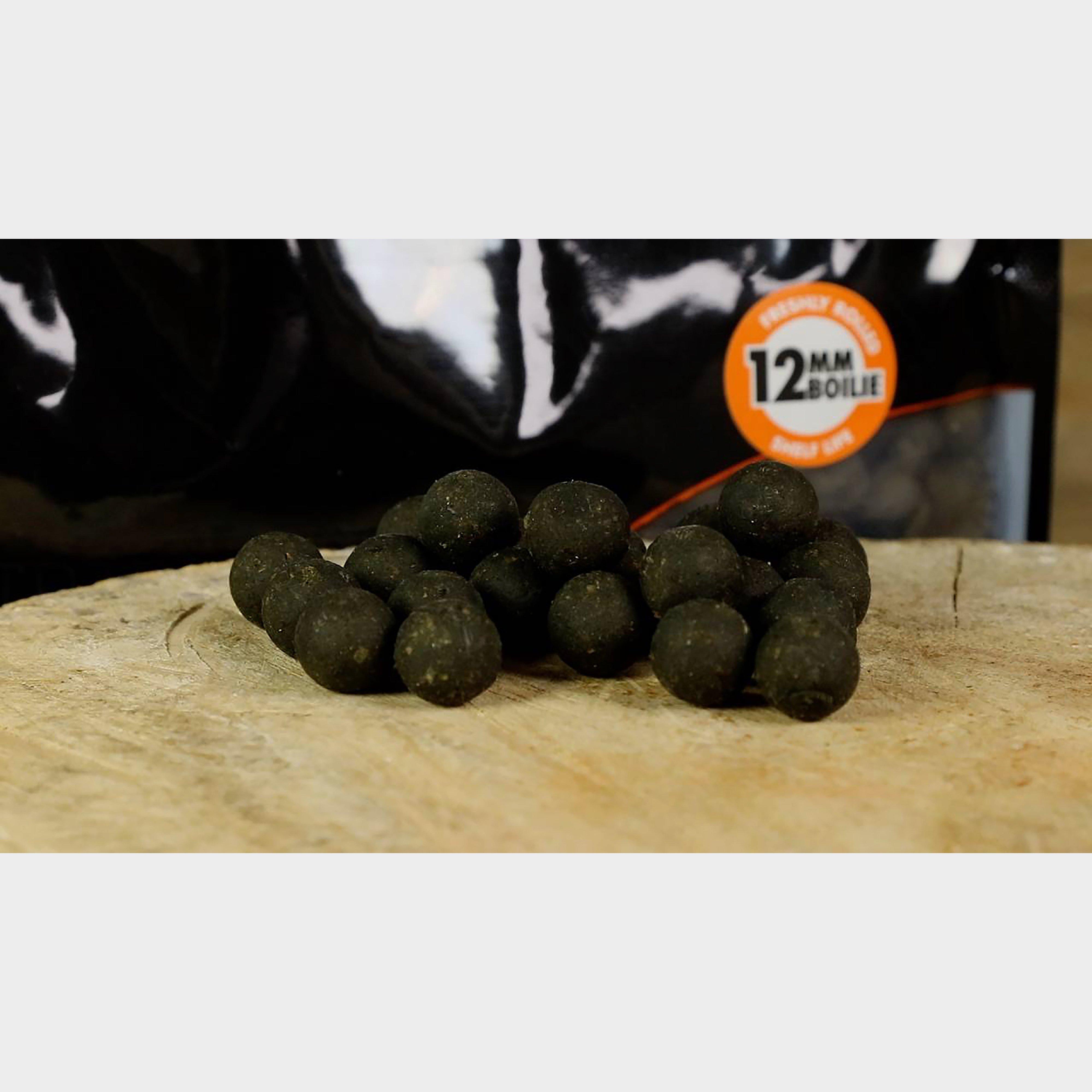 Squid And Octopus Sl 15Mm