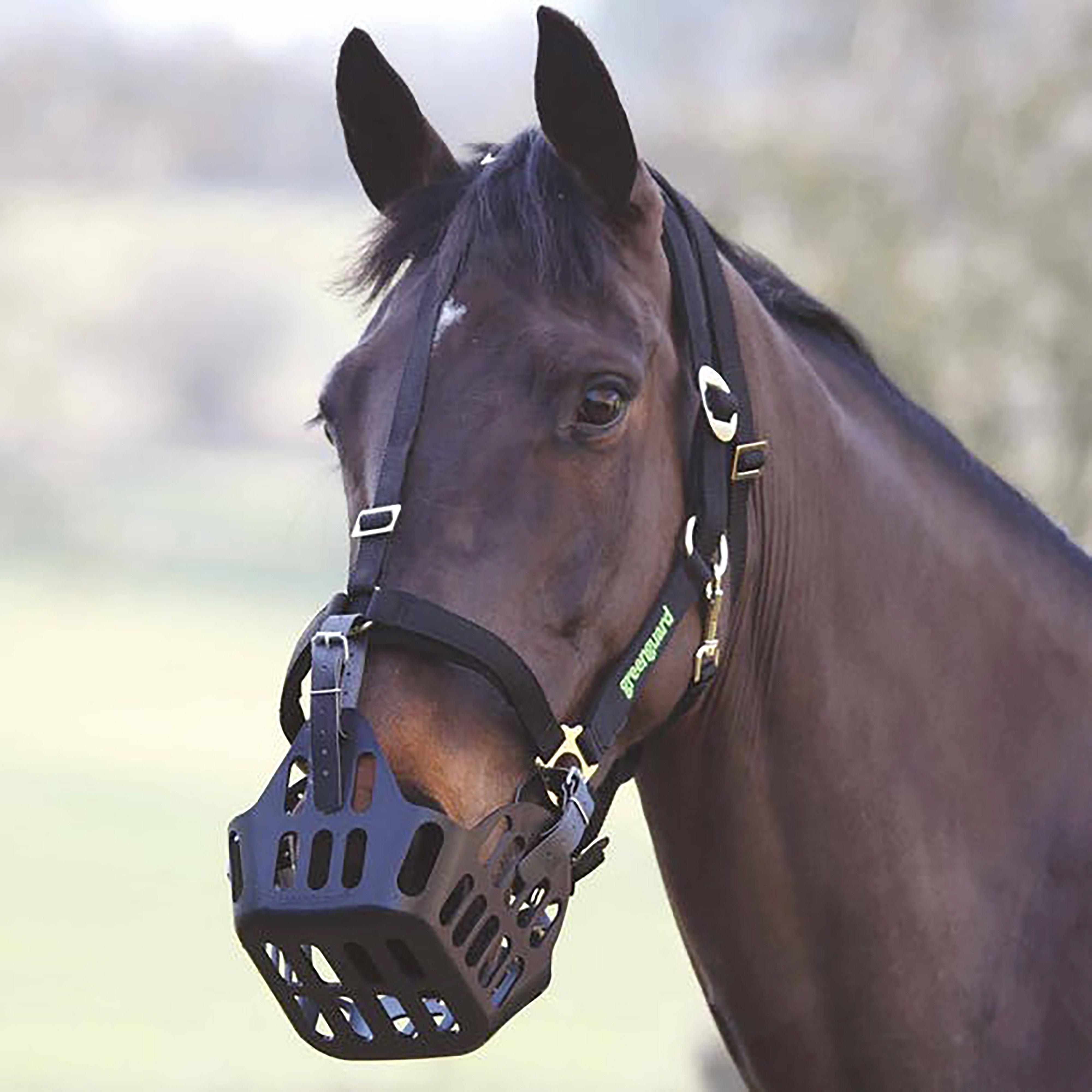 Muzzle Head Collar
