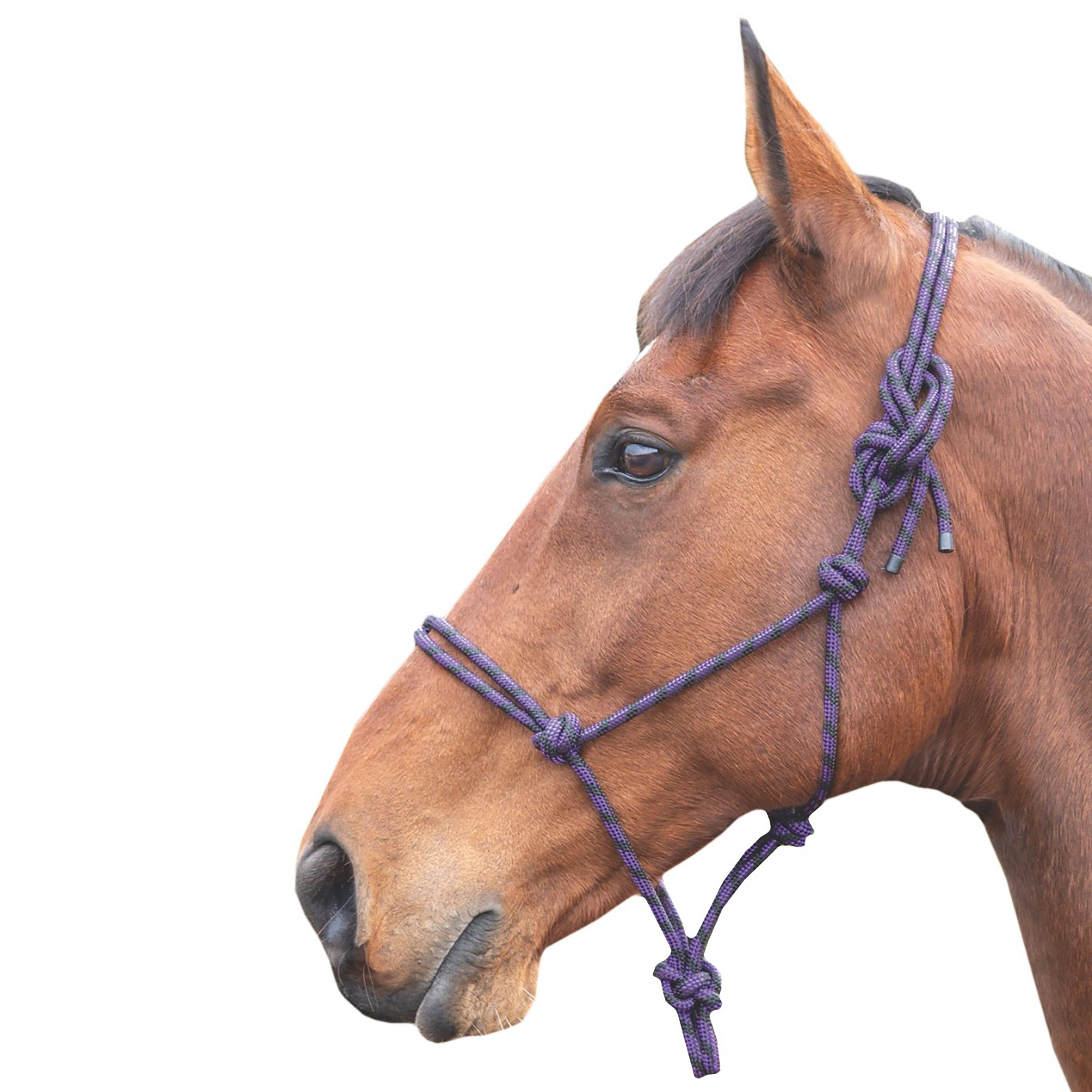 Adjustable Rope Halter