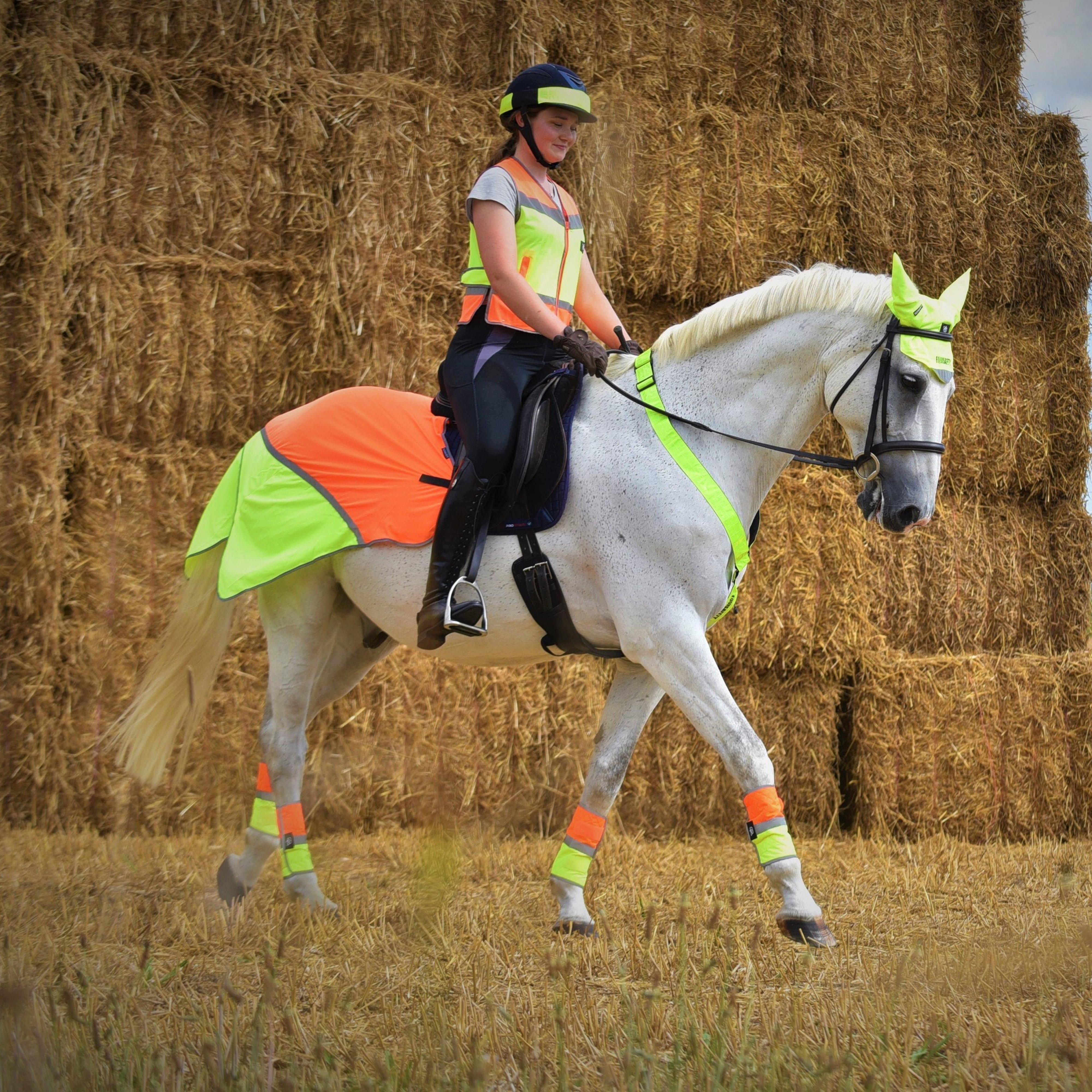 Charlotte Dujardin Multi-Coloured Nose Band Orange/Yellow