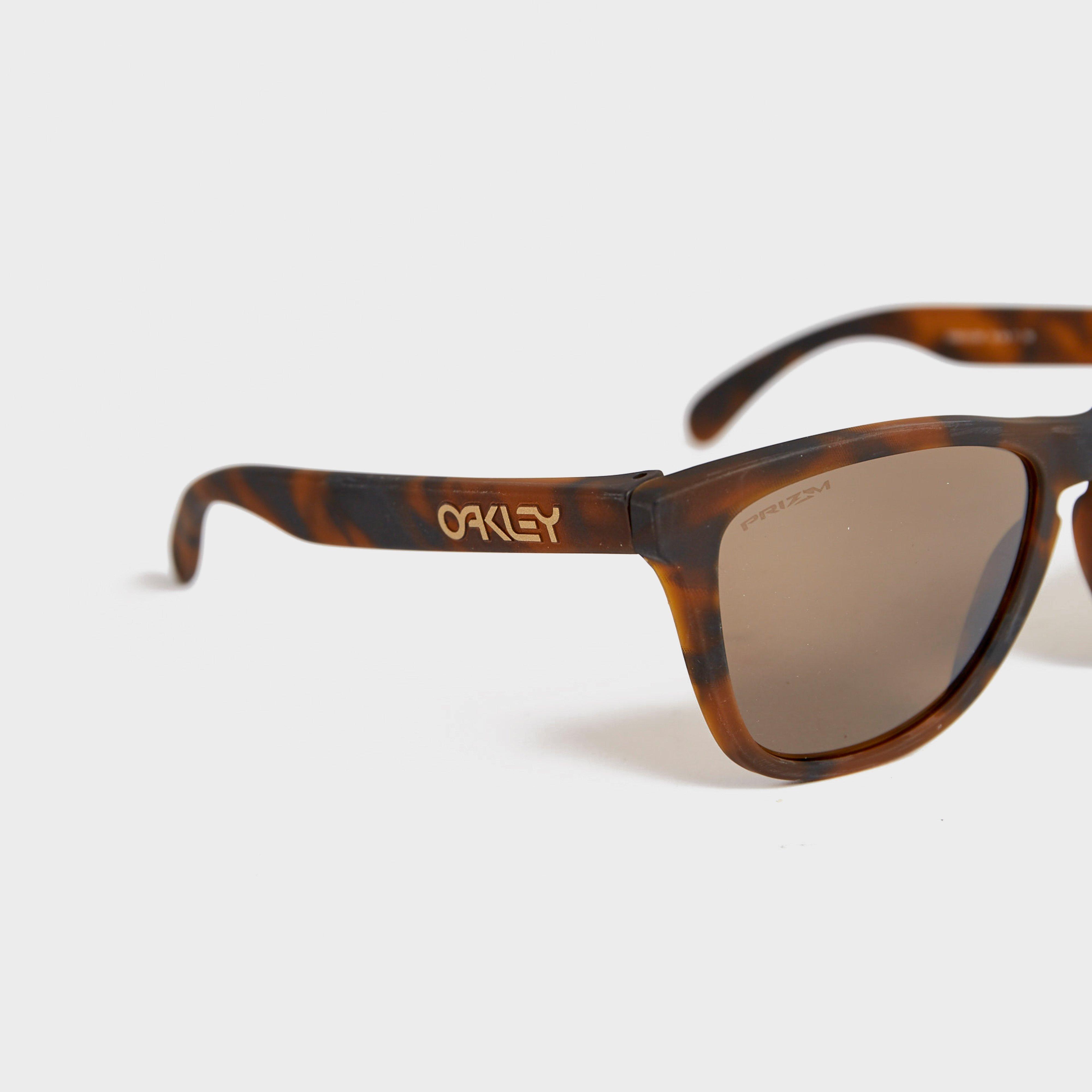 Men's Frogskins Sunglasses (Prizm Tungsten)