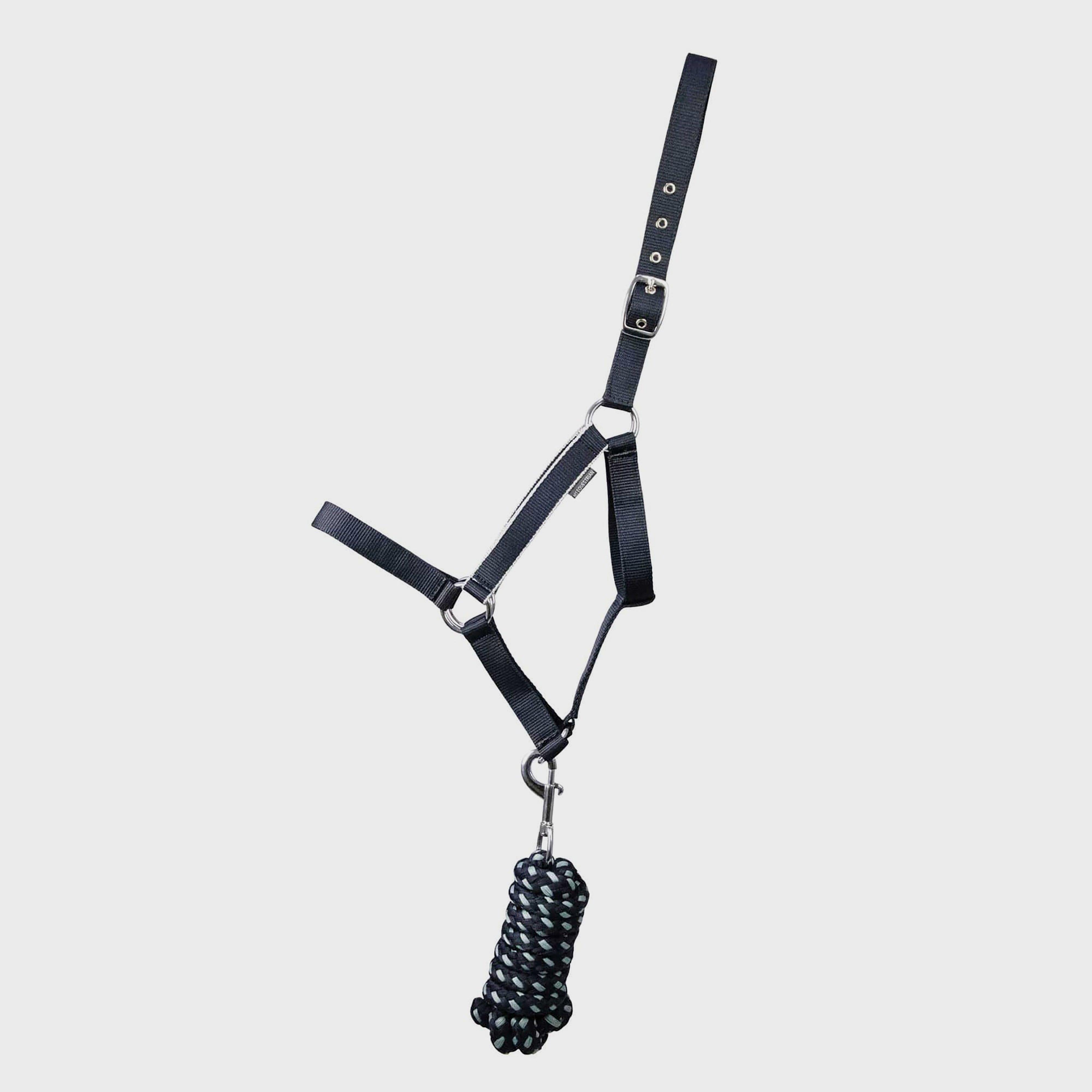 Synergy Horse Headcollar