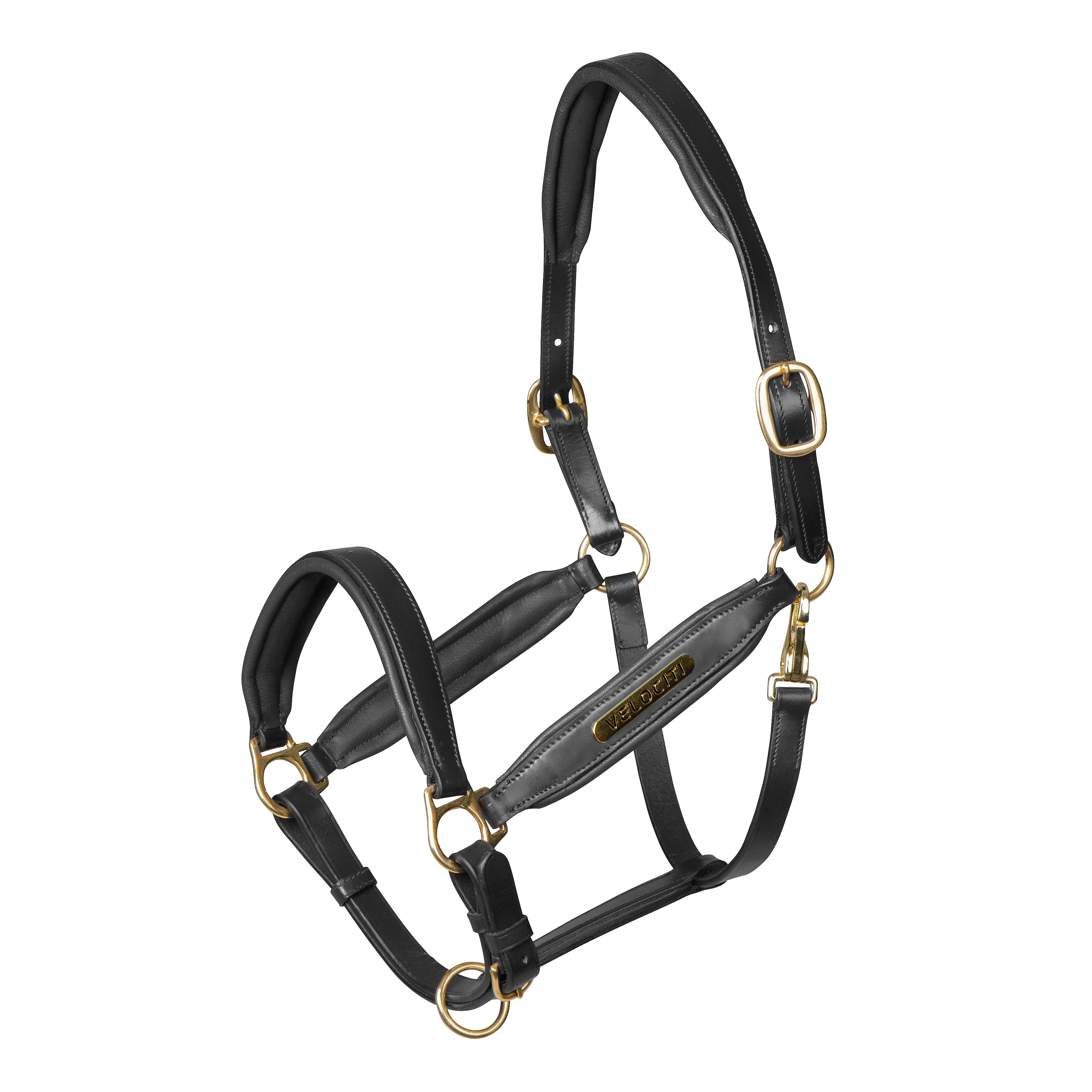 Gara Leather Headcollar