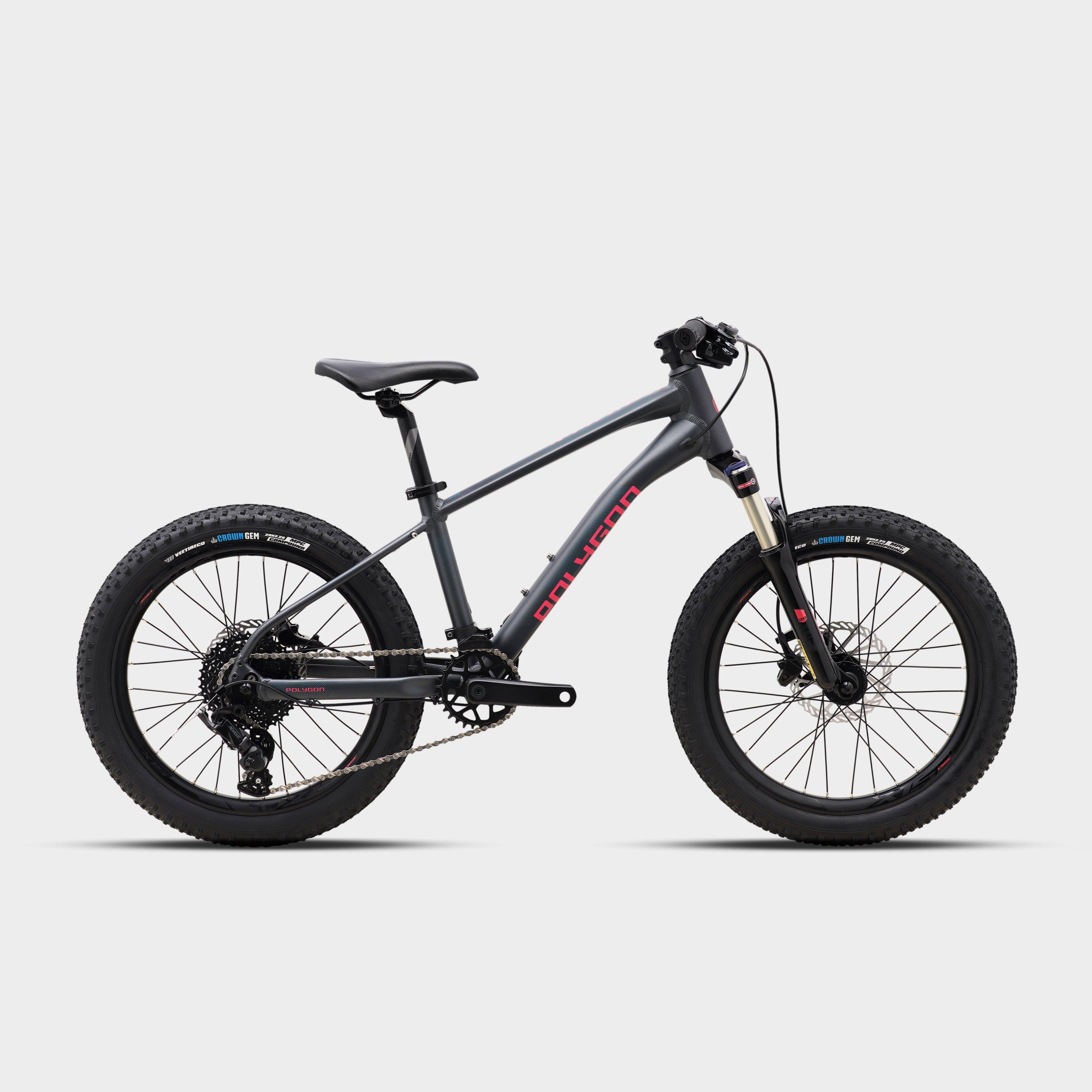 Xtrada 20 Mountain Bike