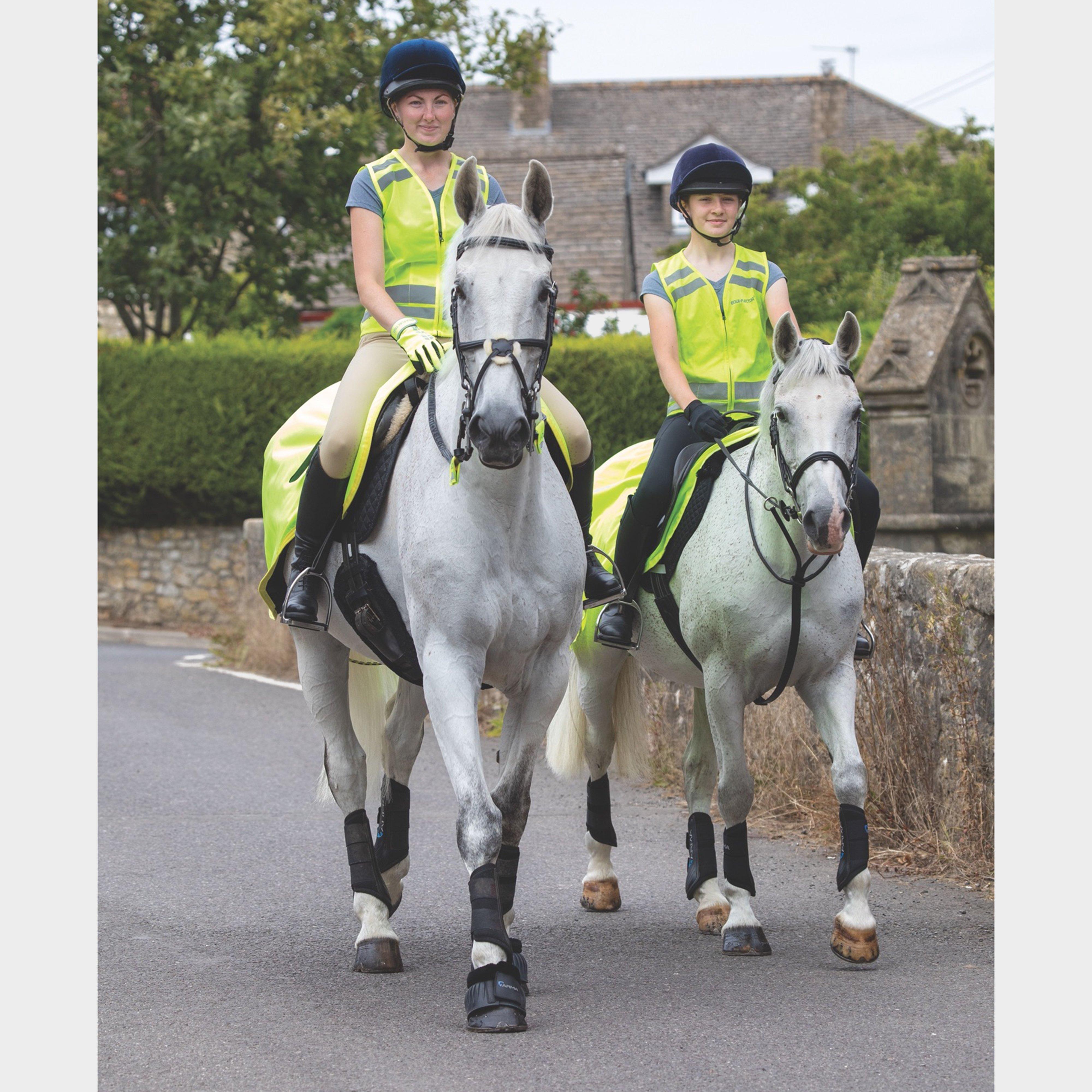 EQUI-FLECTOR Safety Vest