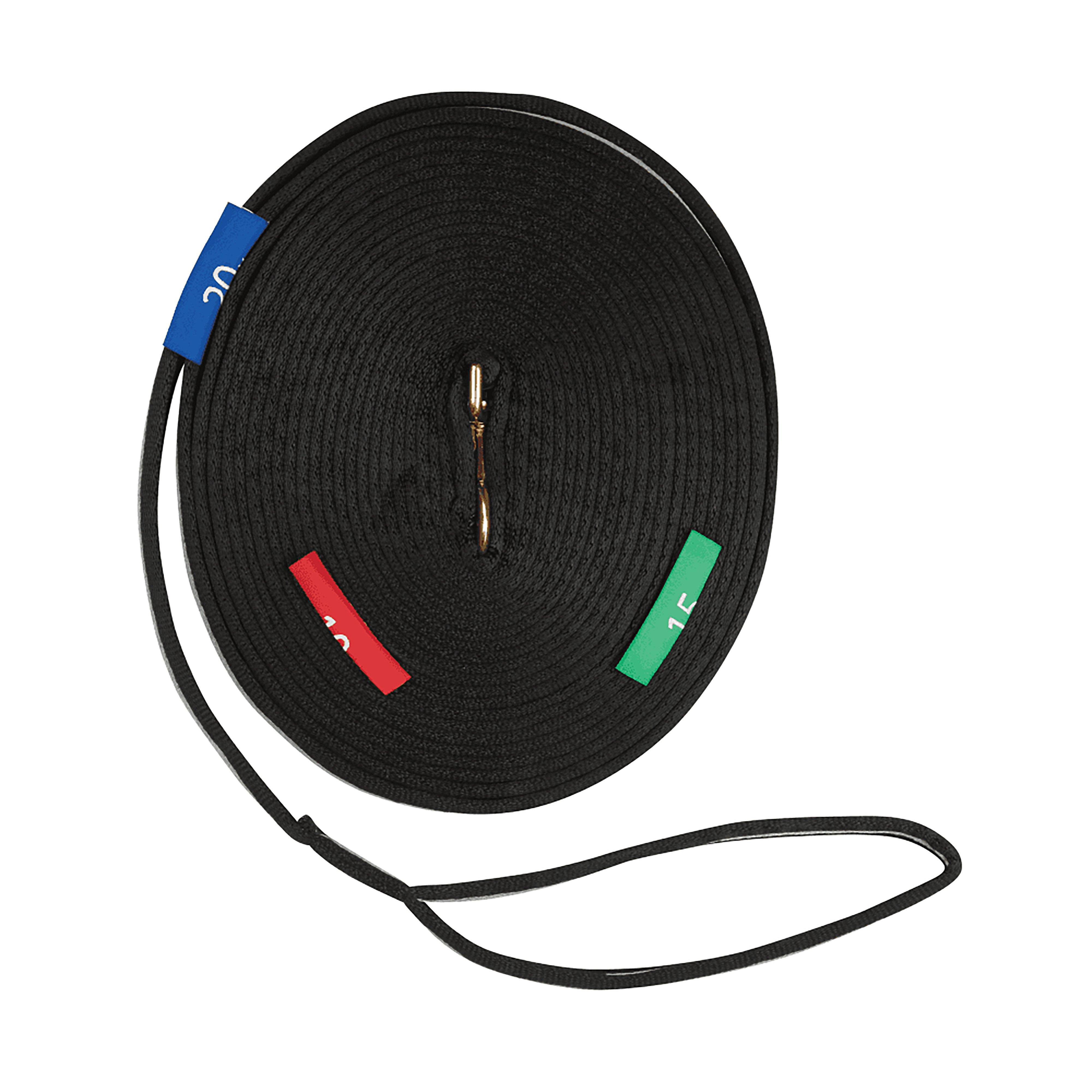 Two Tone Lunge Rein With Circles Markers