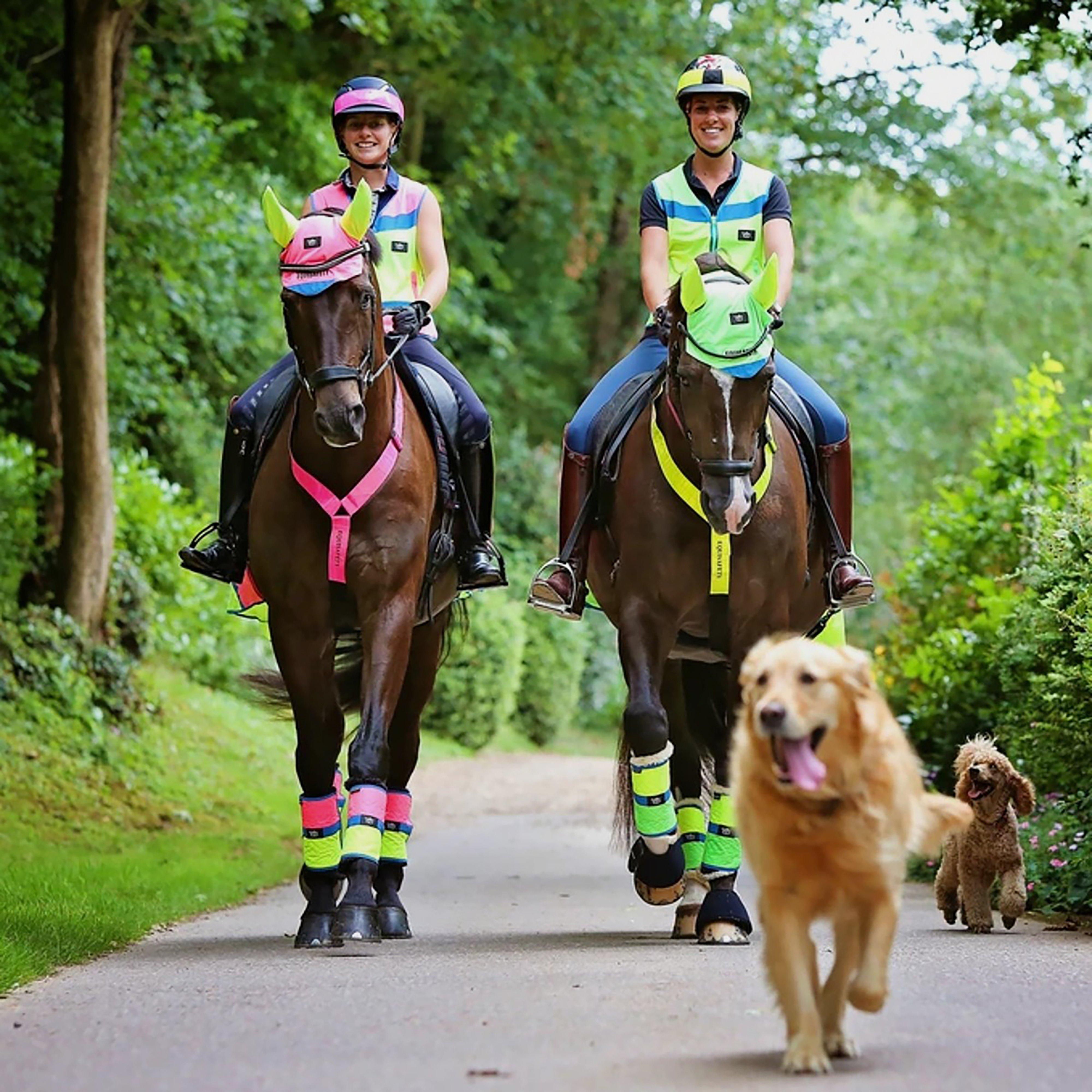 Charlotte Dujardin Reflective Multi-Coloured Mesh Horse Ears Pink/Yellow