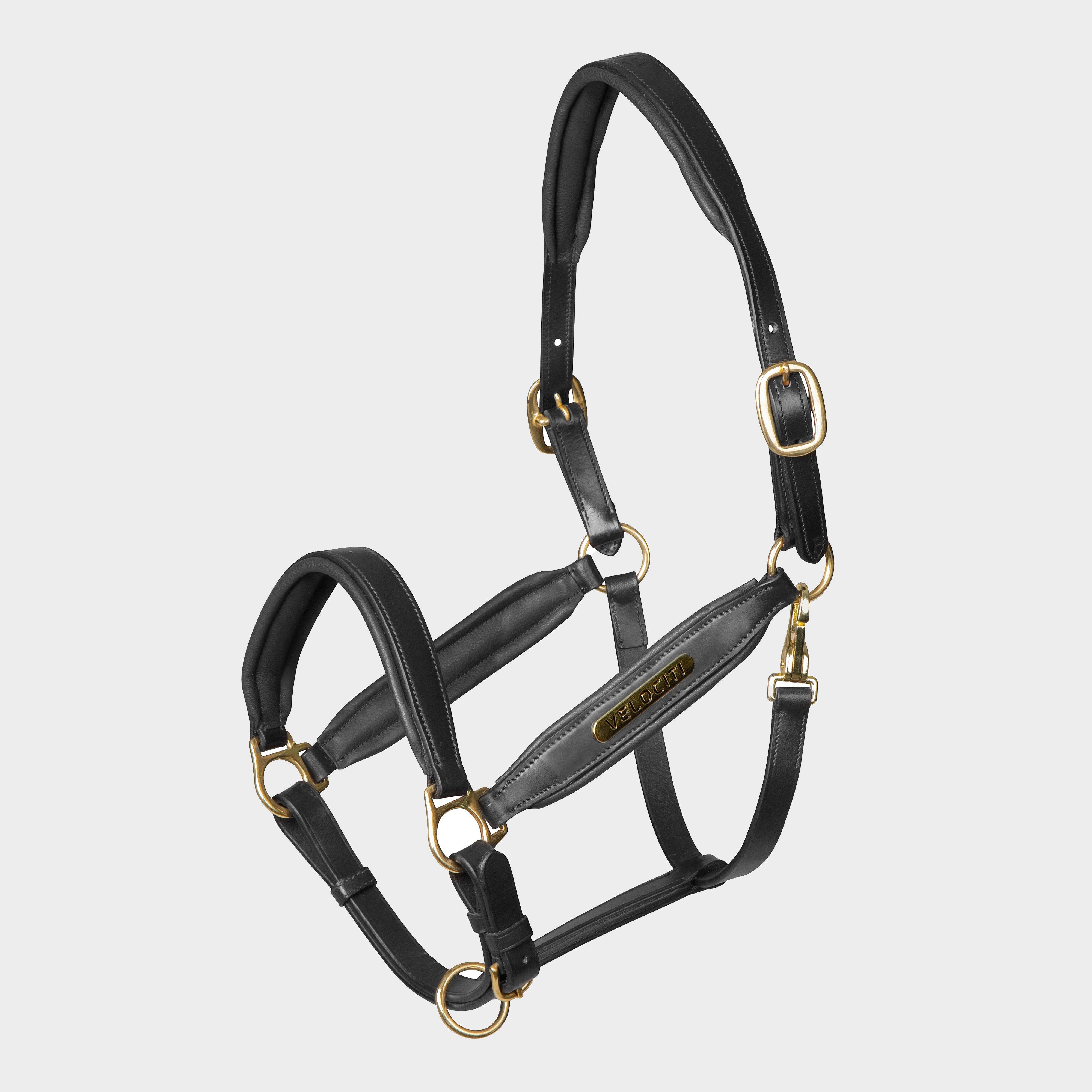 Gara Leather Headcollar