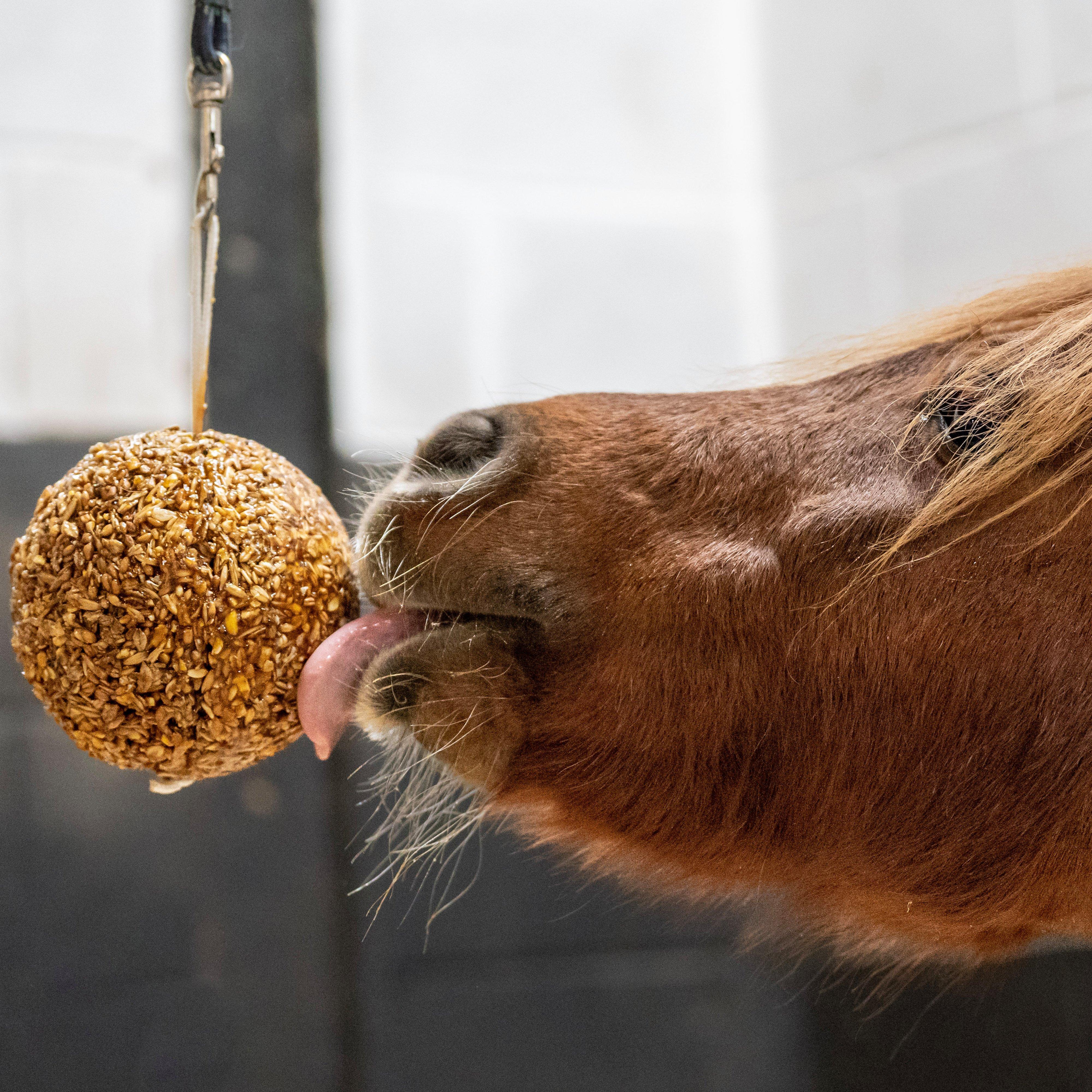 Granola Stall-Ball Apple