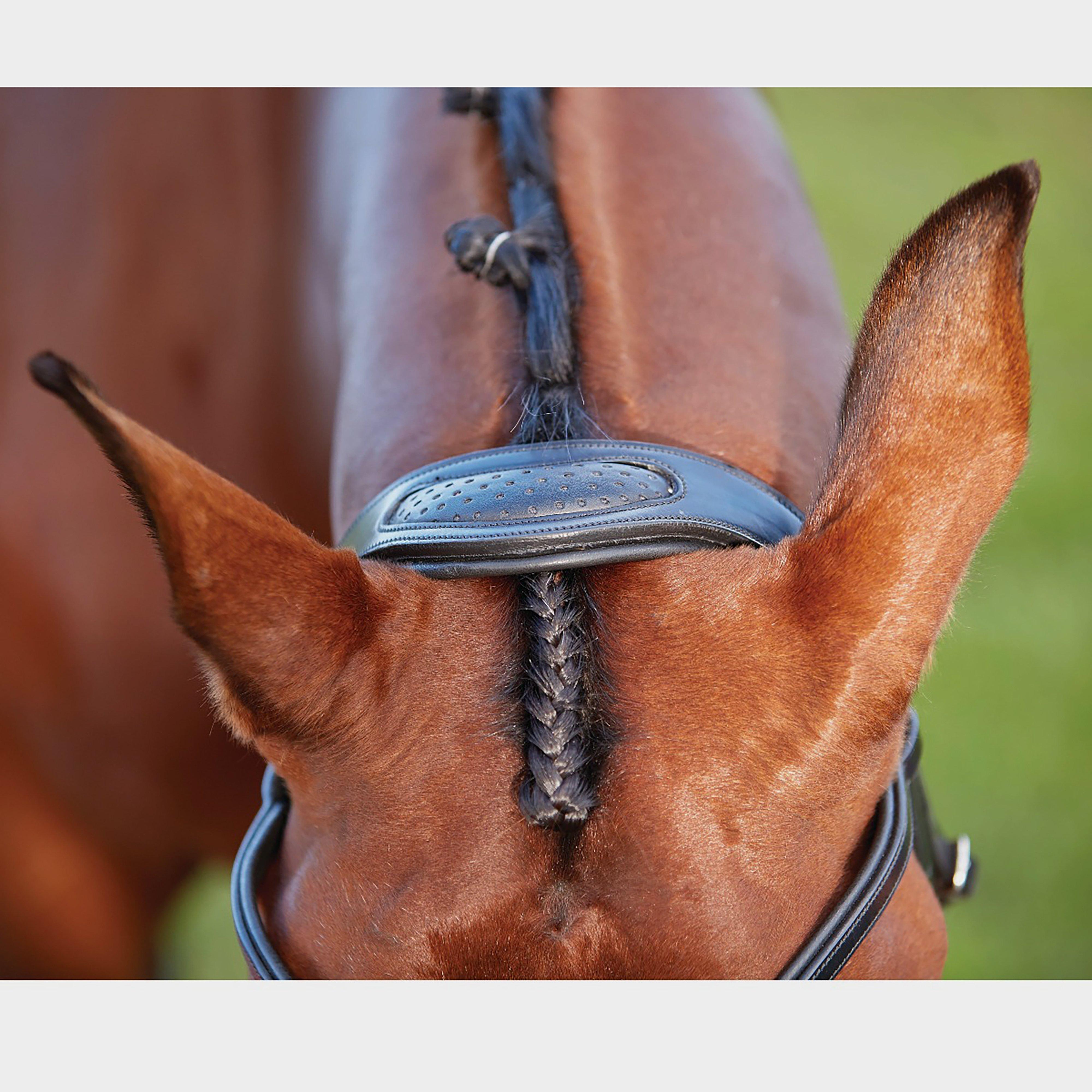 ComFiTec Training Bridle