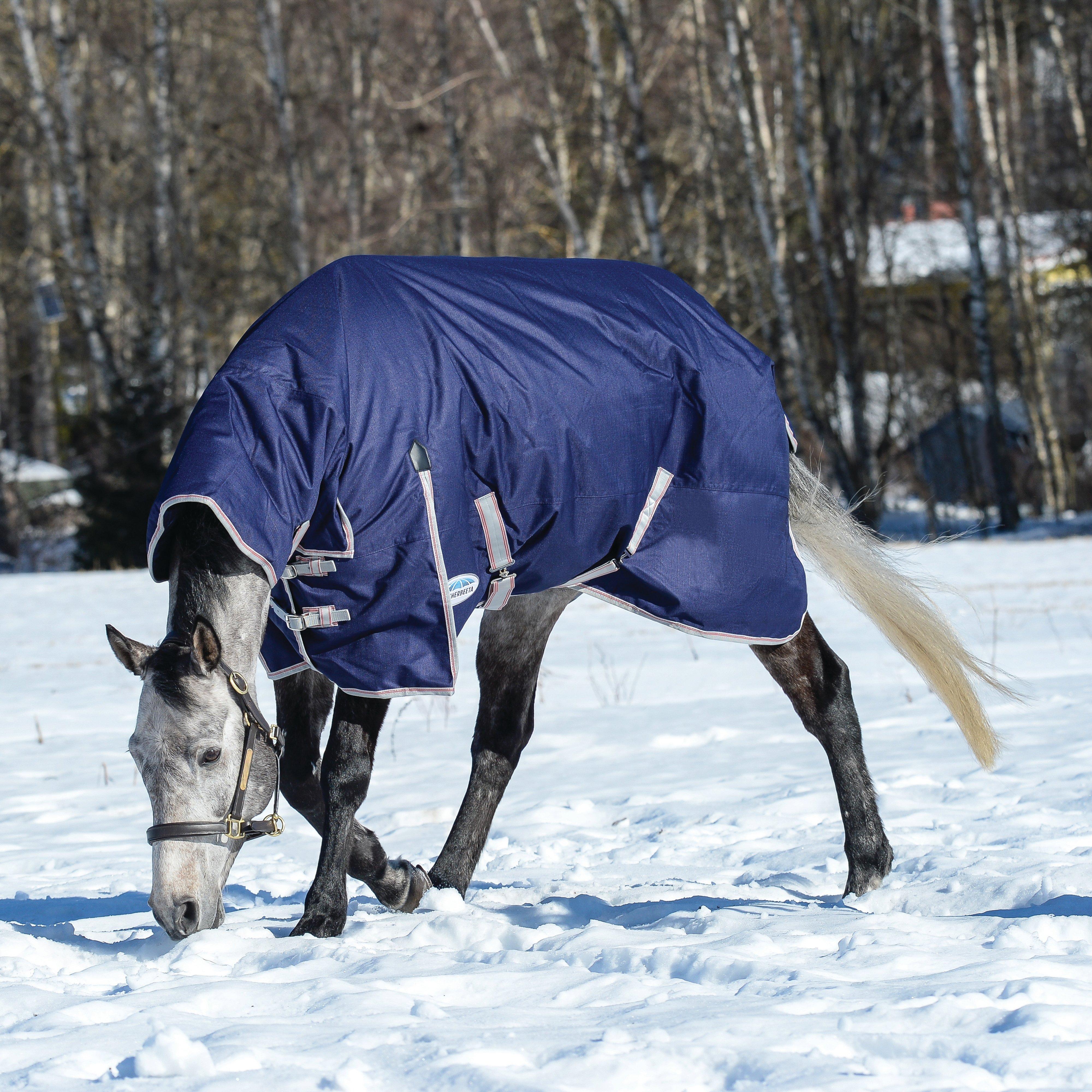 ComFiTec Essential Combo Neck Heavy