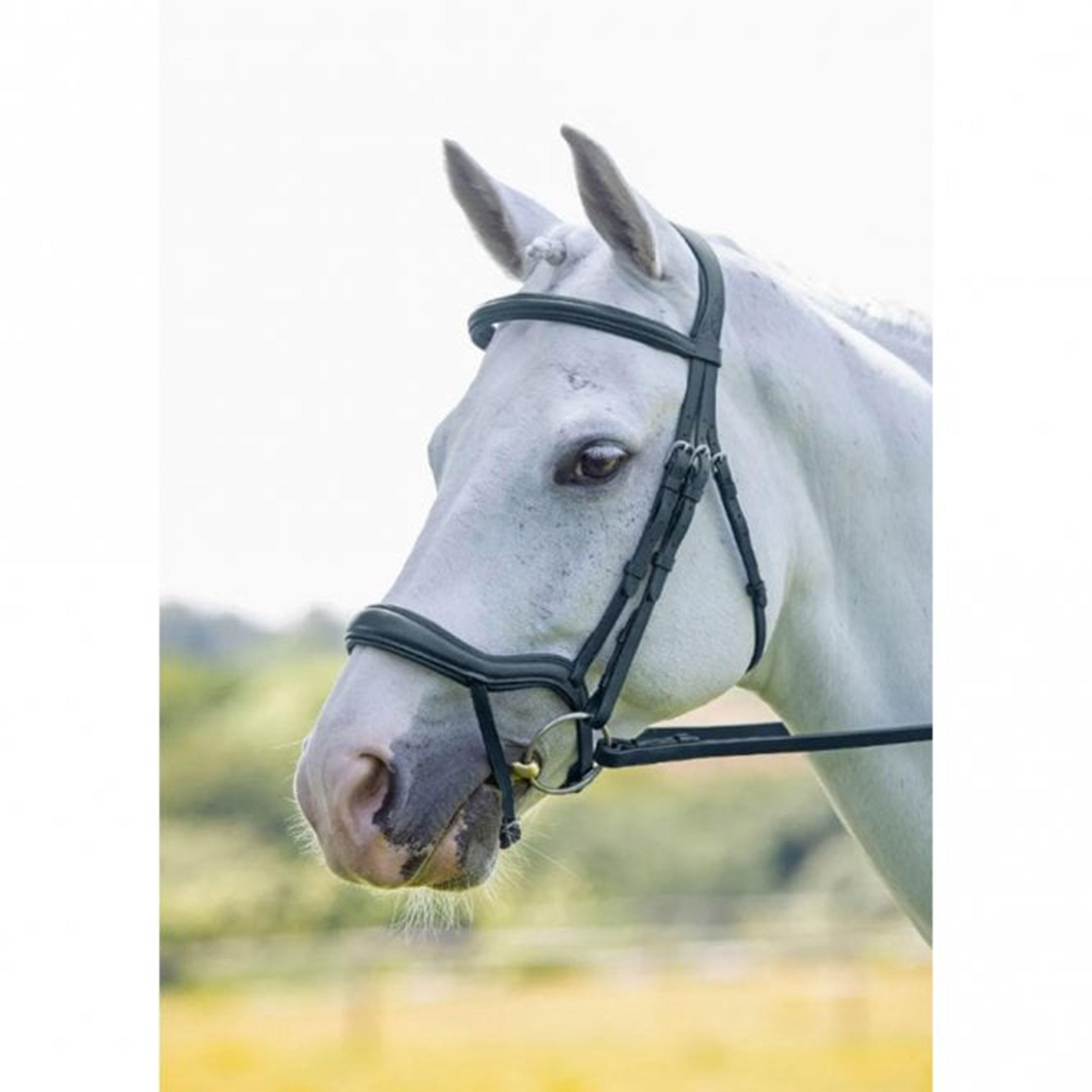 Velociti Ergonomic Flash Bridle Black
