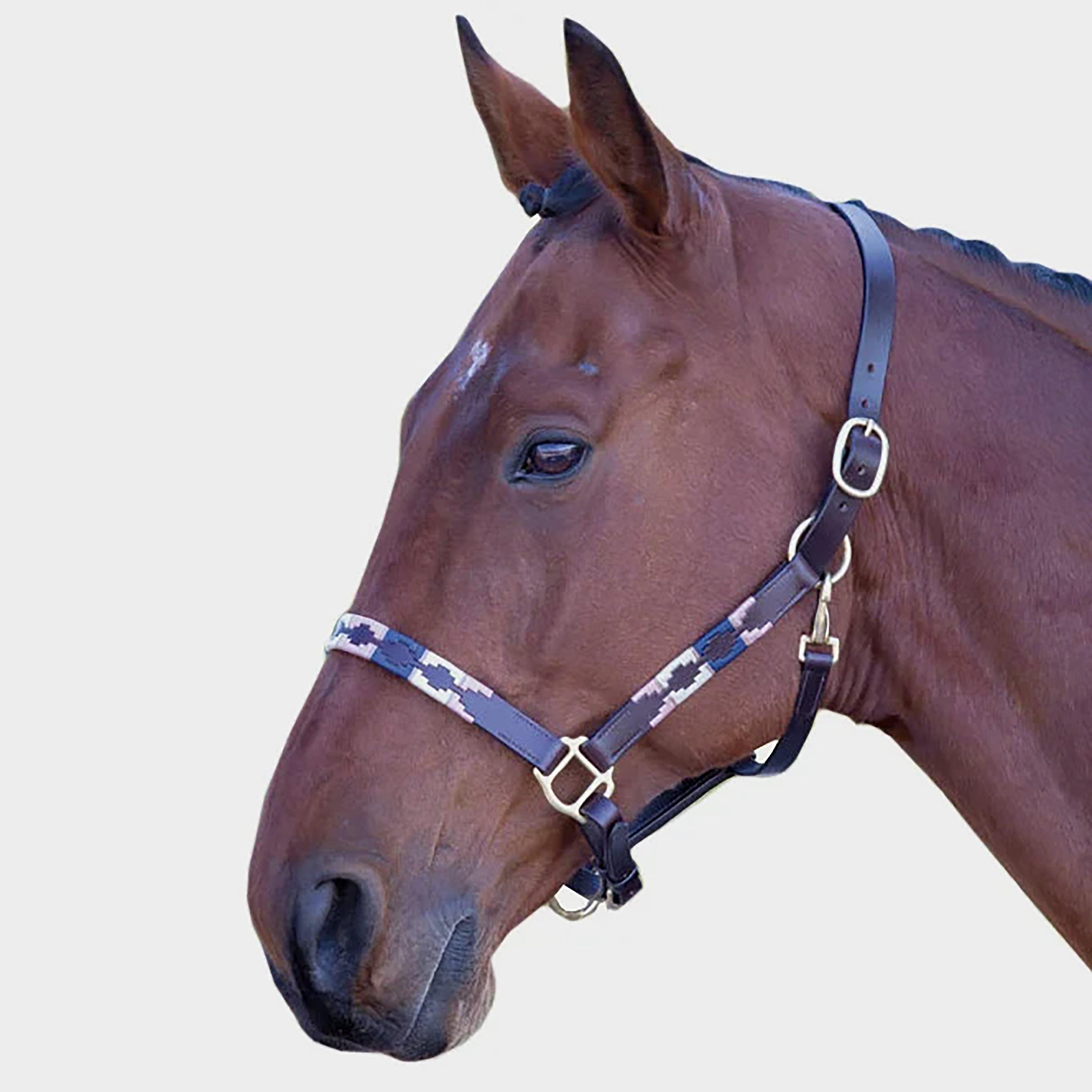 Leather Polo Headcollar