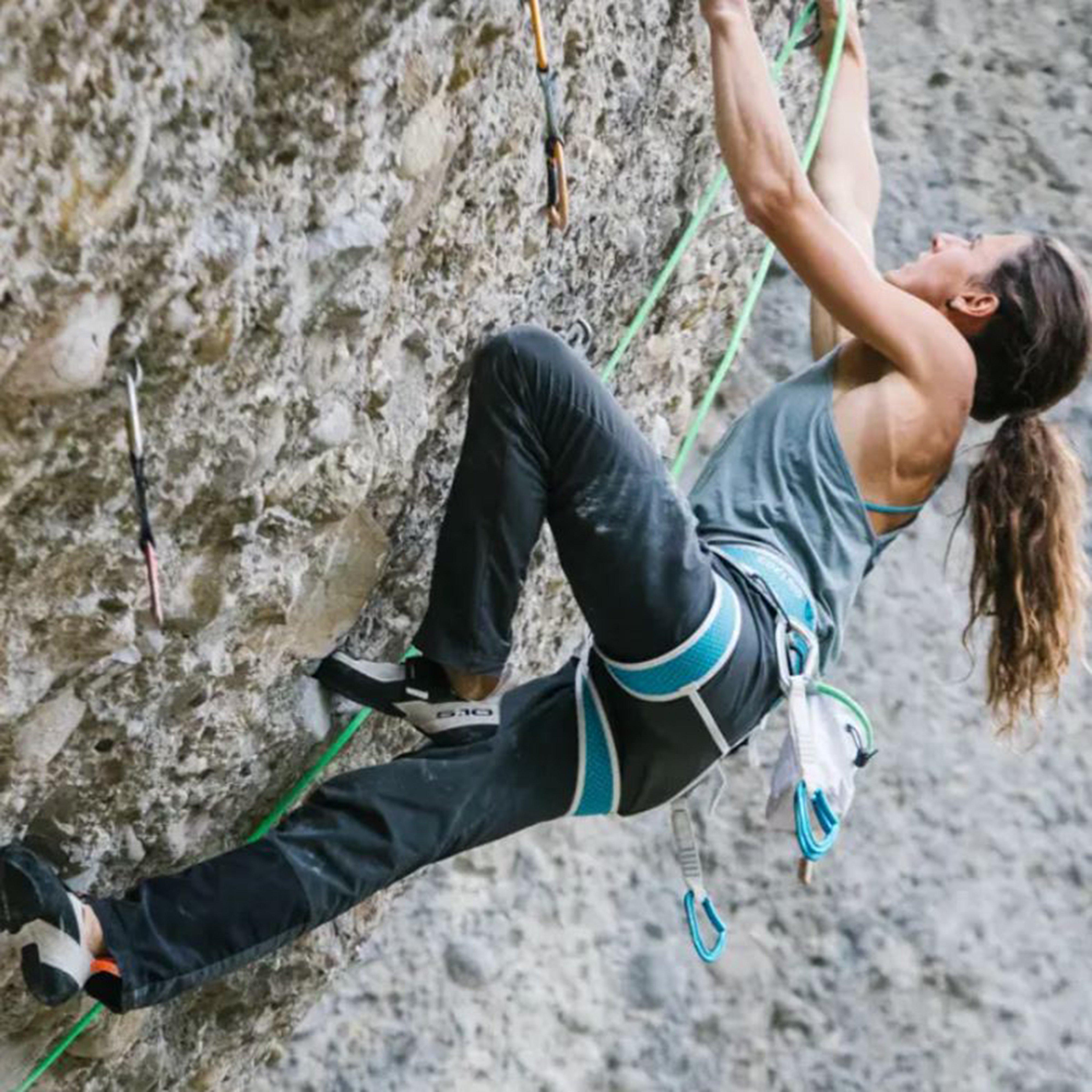 Prisma Climbing Harness