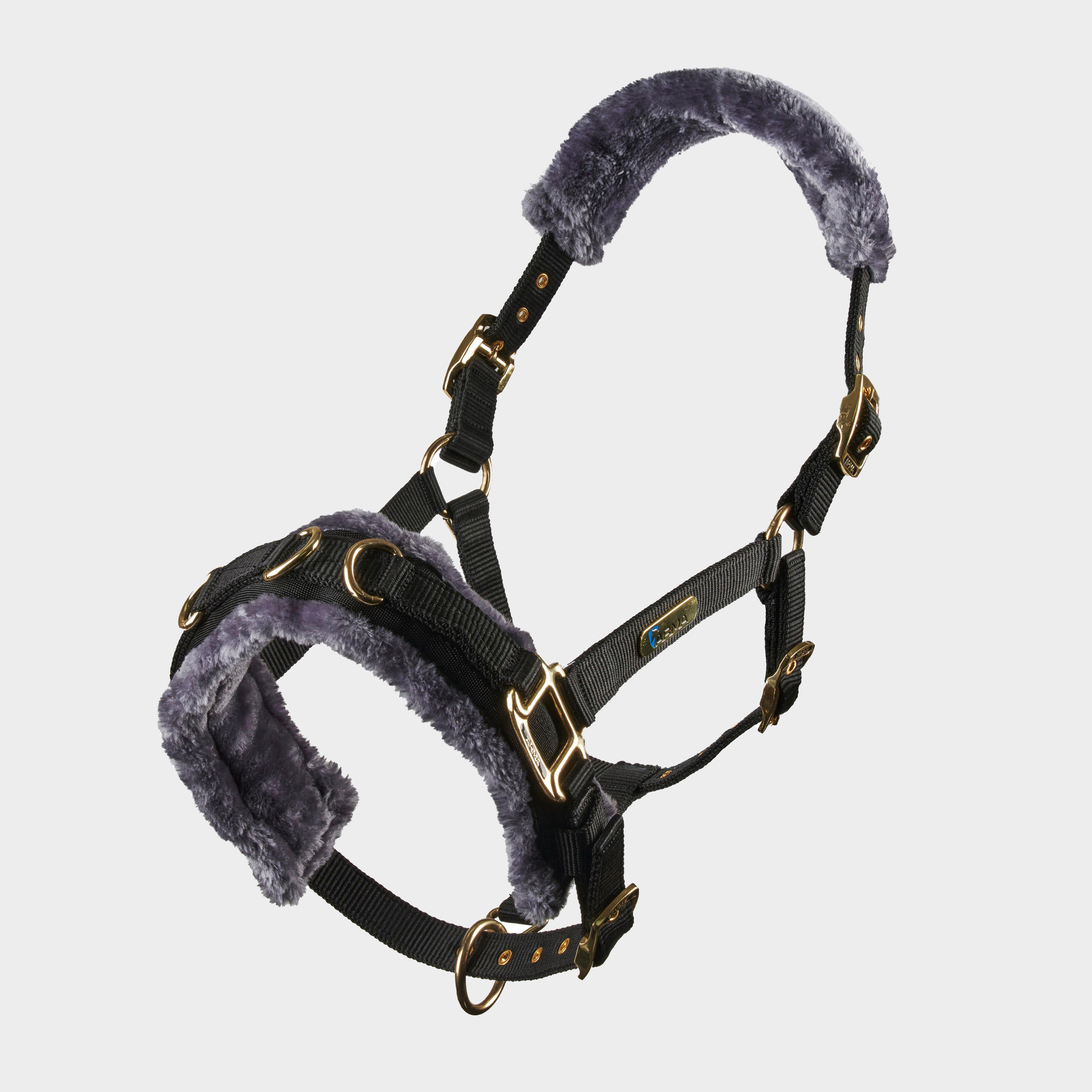 Fleece Lined Lunge Cavesson