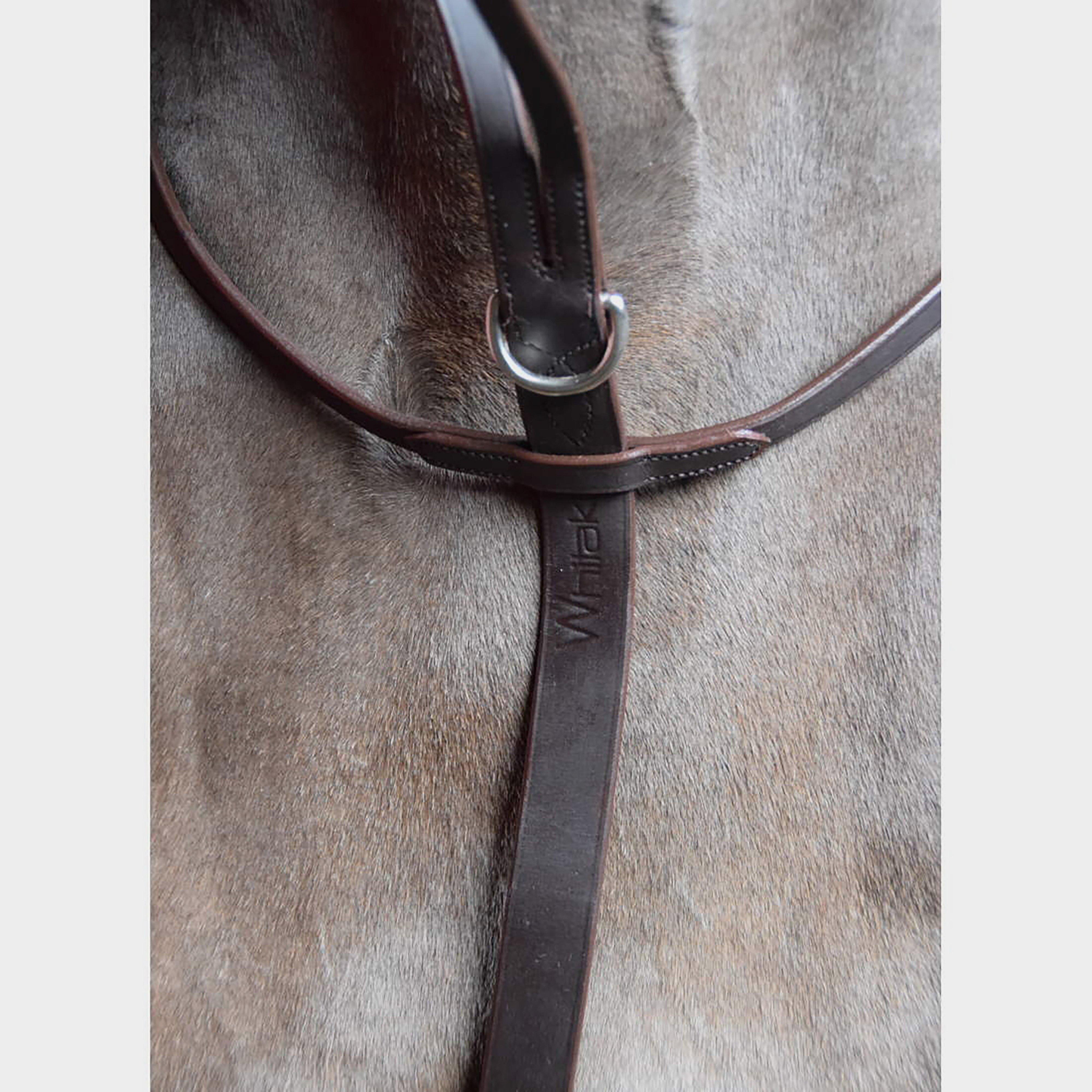 Ready-To-Ride Martingale