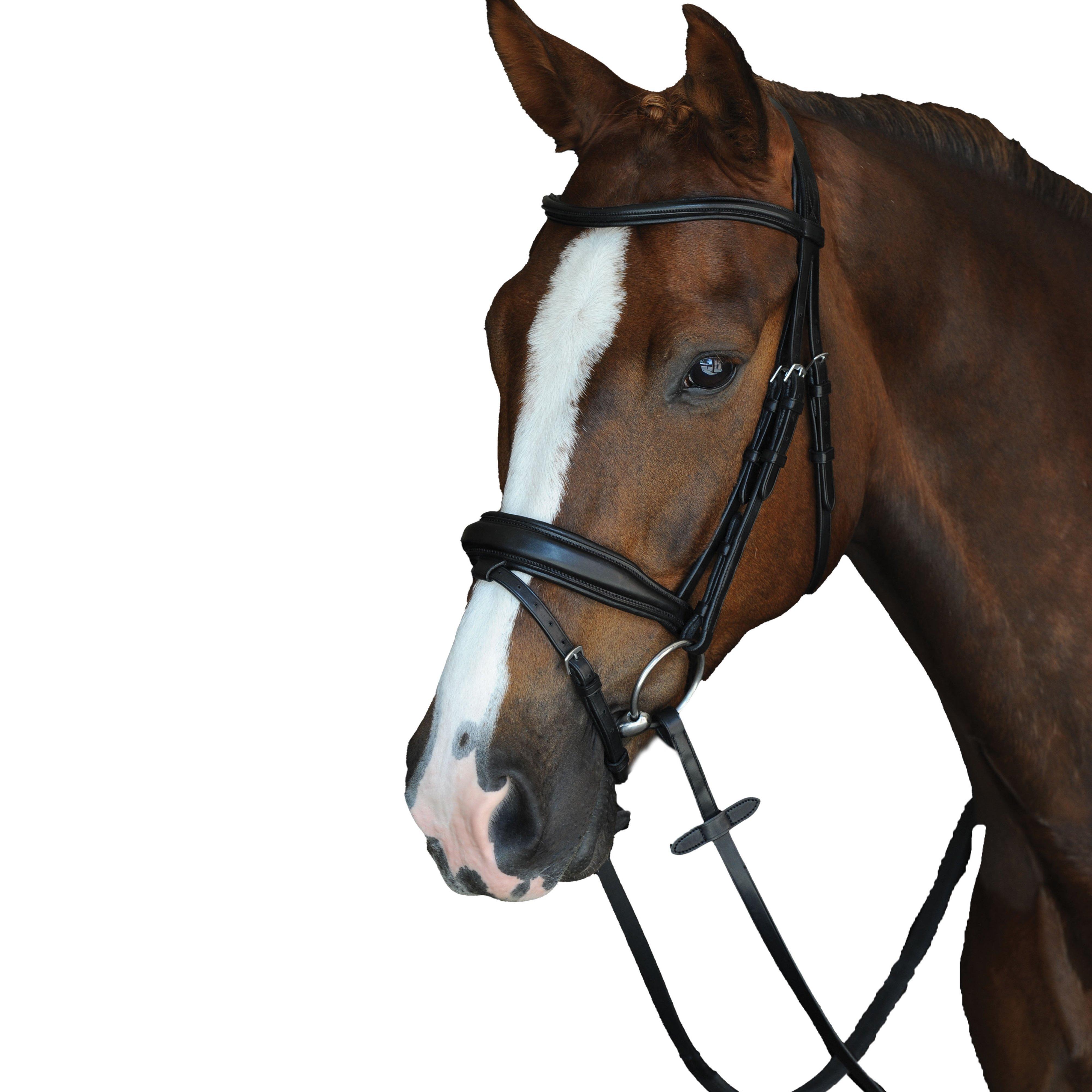 Mono Crown Padded Raised Flash Bridle Black