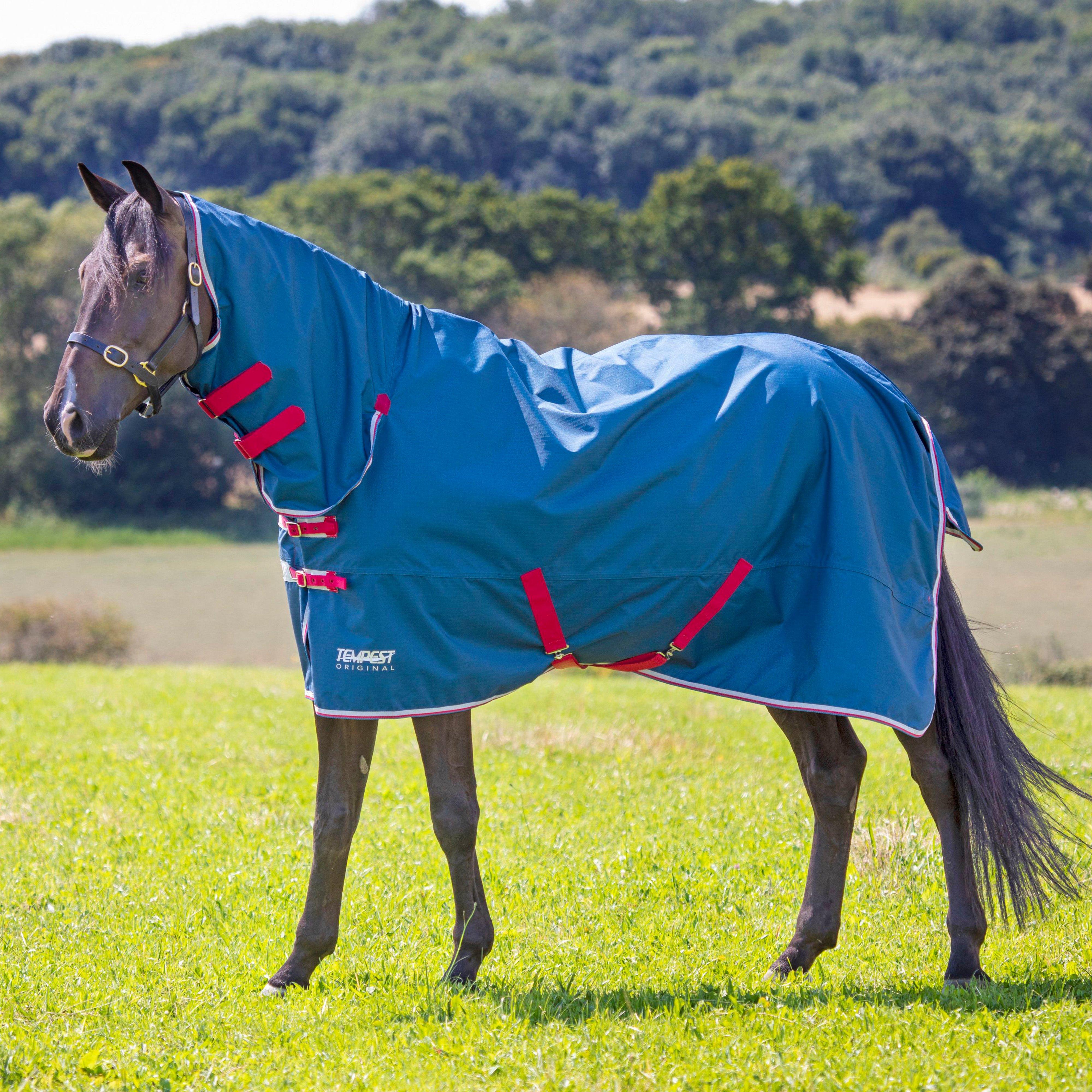 Tempest Original Lite Combo Turnout Rug