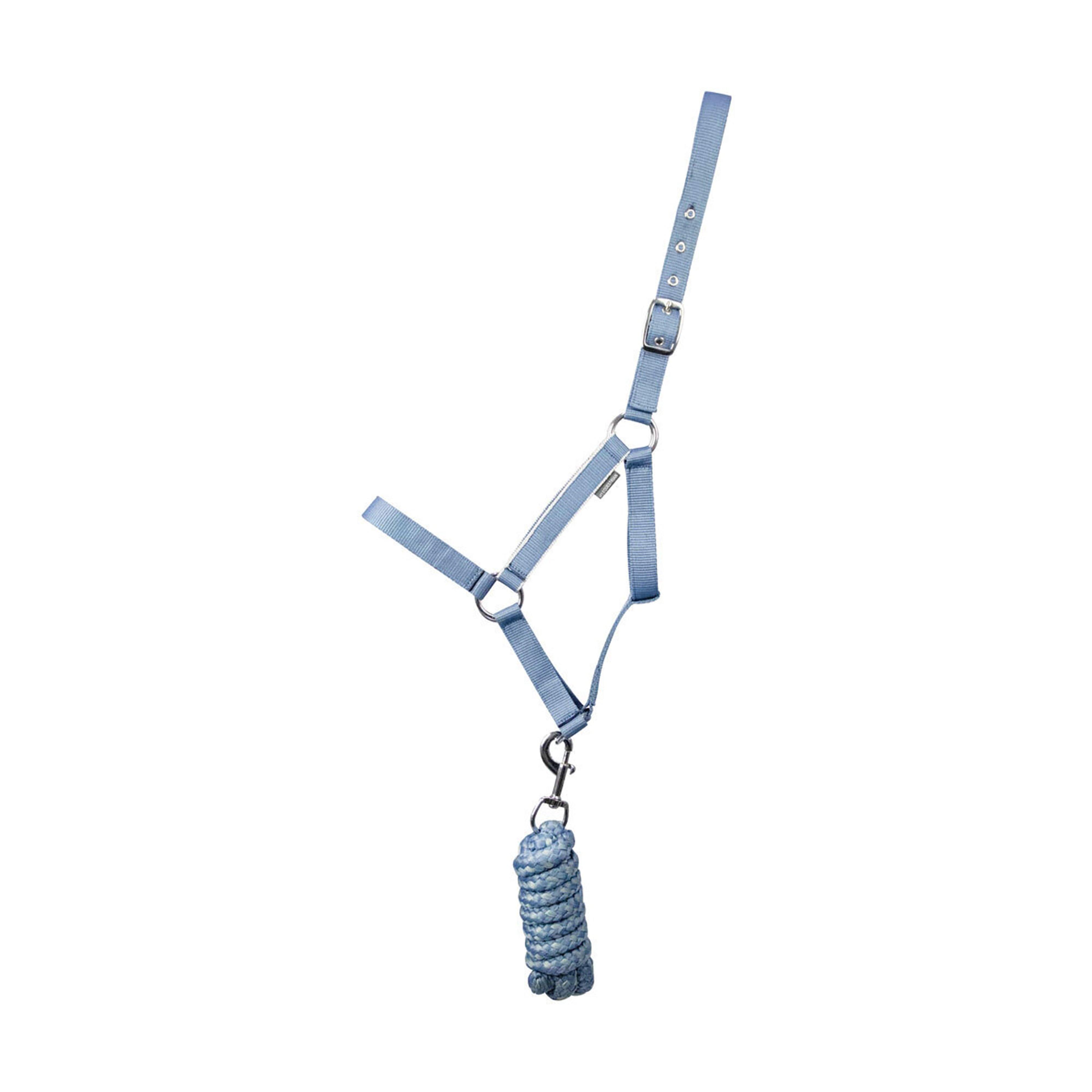 Synergy Horse Headcollar