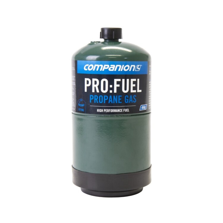 Companion Propane Gas Bottle 468g